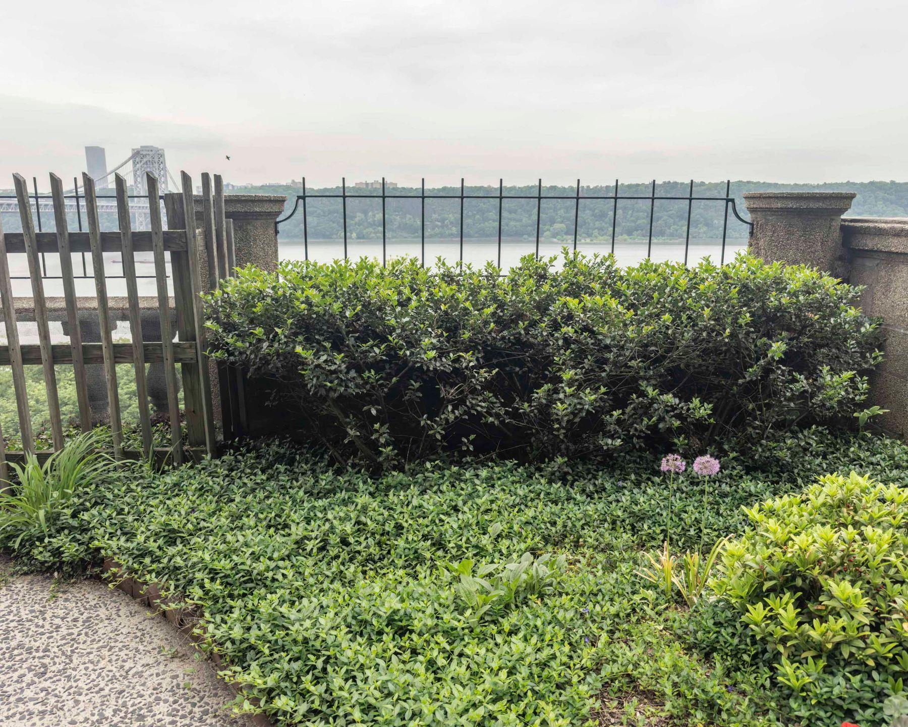 Coop Cabrini Manhattan, NY 10033, MLS-860387-39