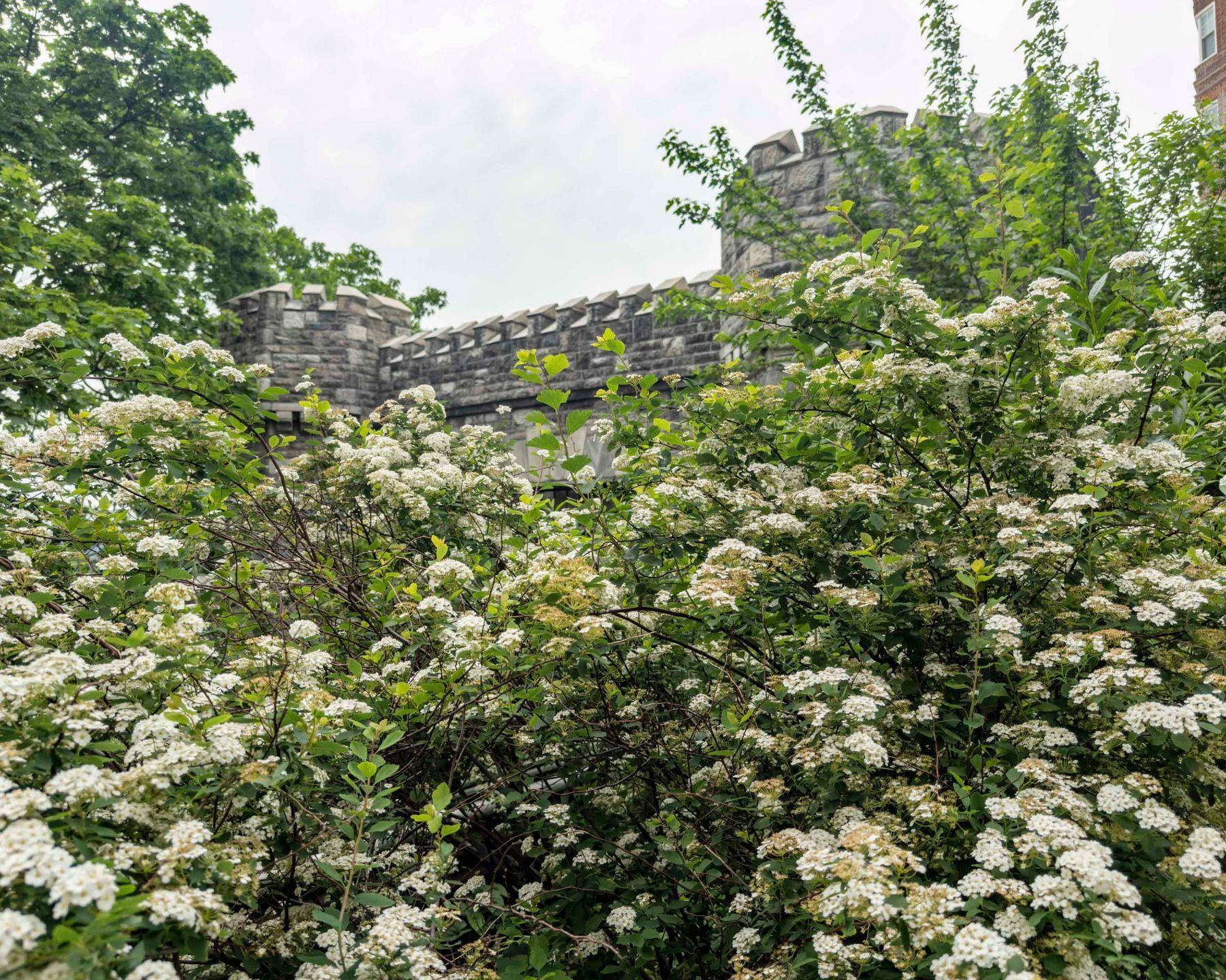 Coop Cabrini Manhattan, NY 10033, MLS-860387-47