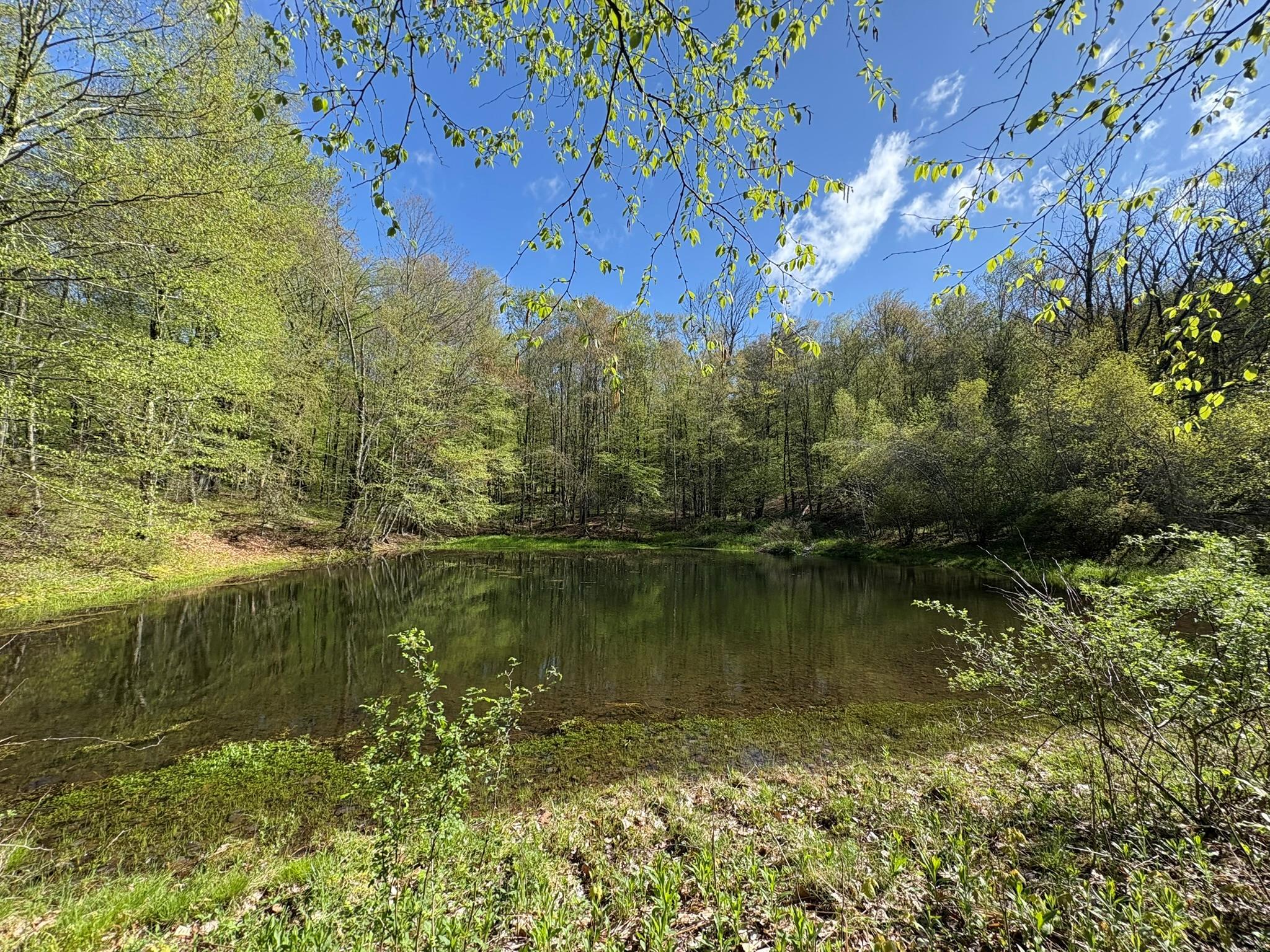 Single Family Shandelee  Sullivan County, NY 12758, MLS-860420-40