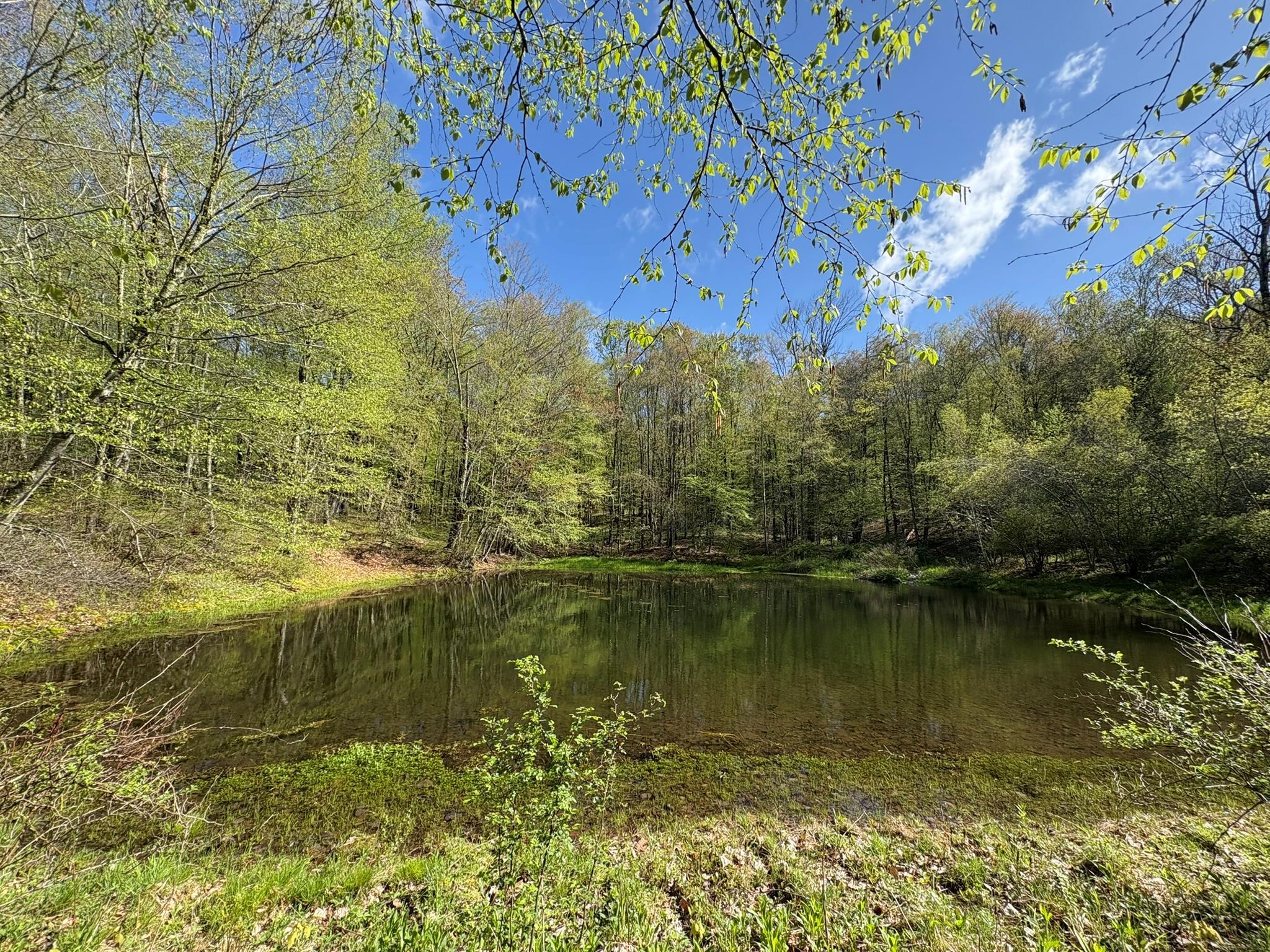 Single Family Shandelee  Sullivan County, NY 12758, MLS-860420-41