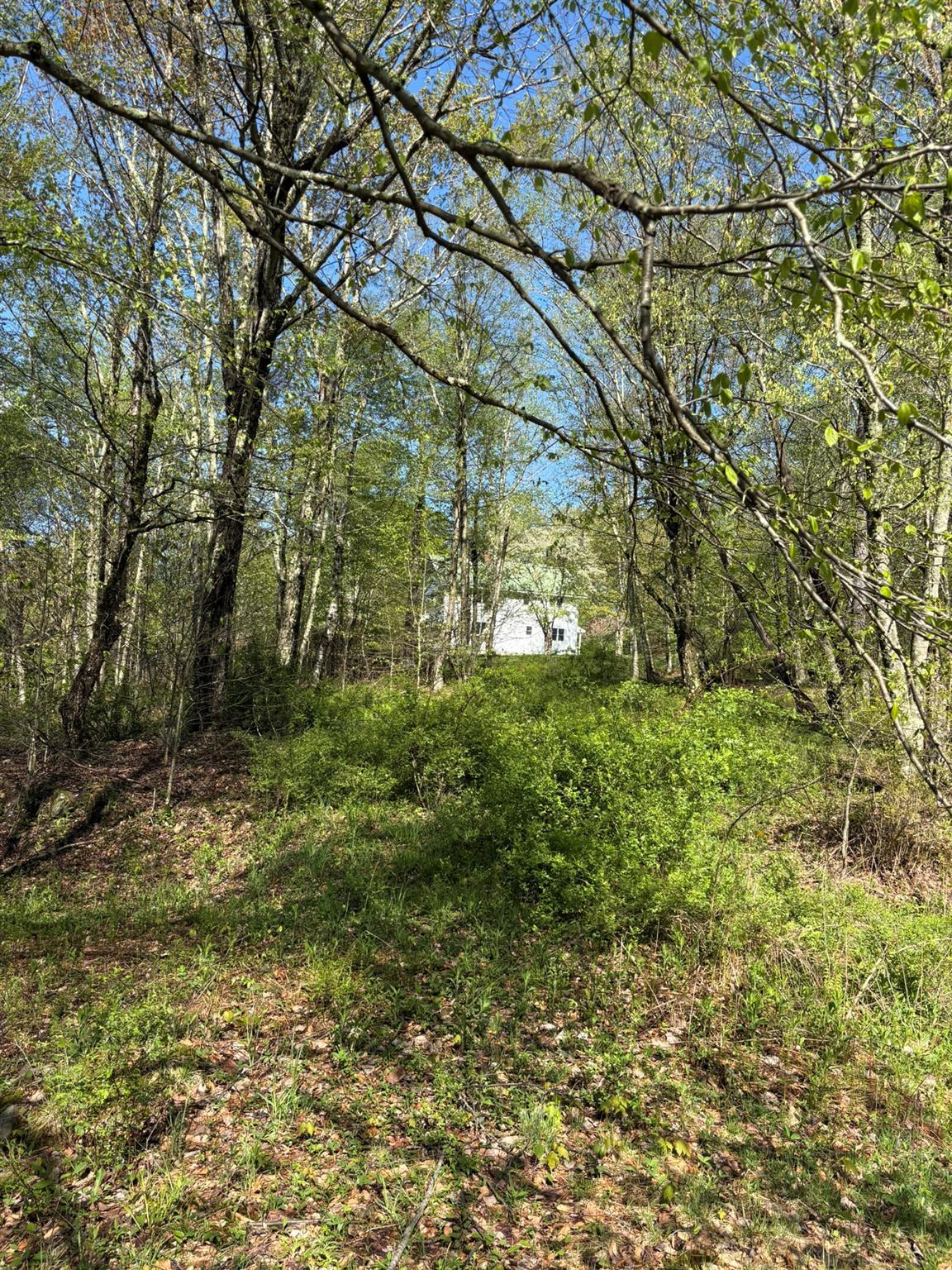 Single Family Shandelee  Sullivan County, NY 12758, MLS-860420-42