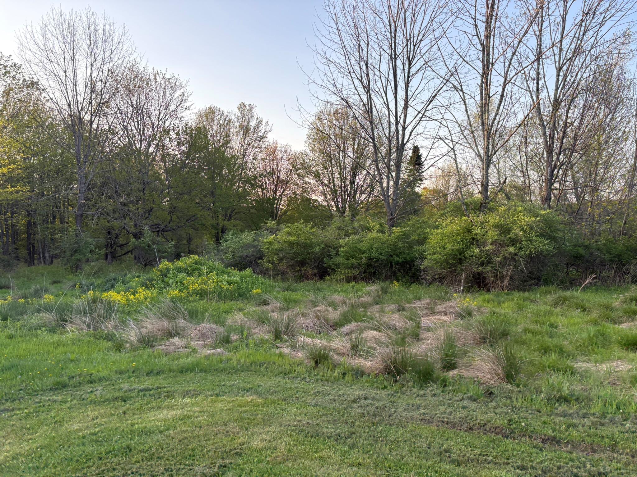 Single Family Wade  Sullivan County, NY 12754, MLS-860527-30