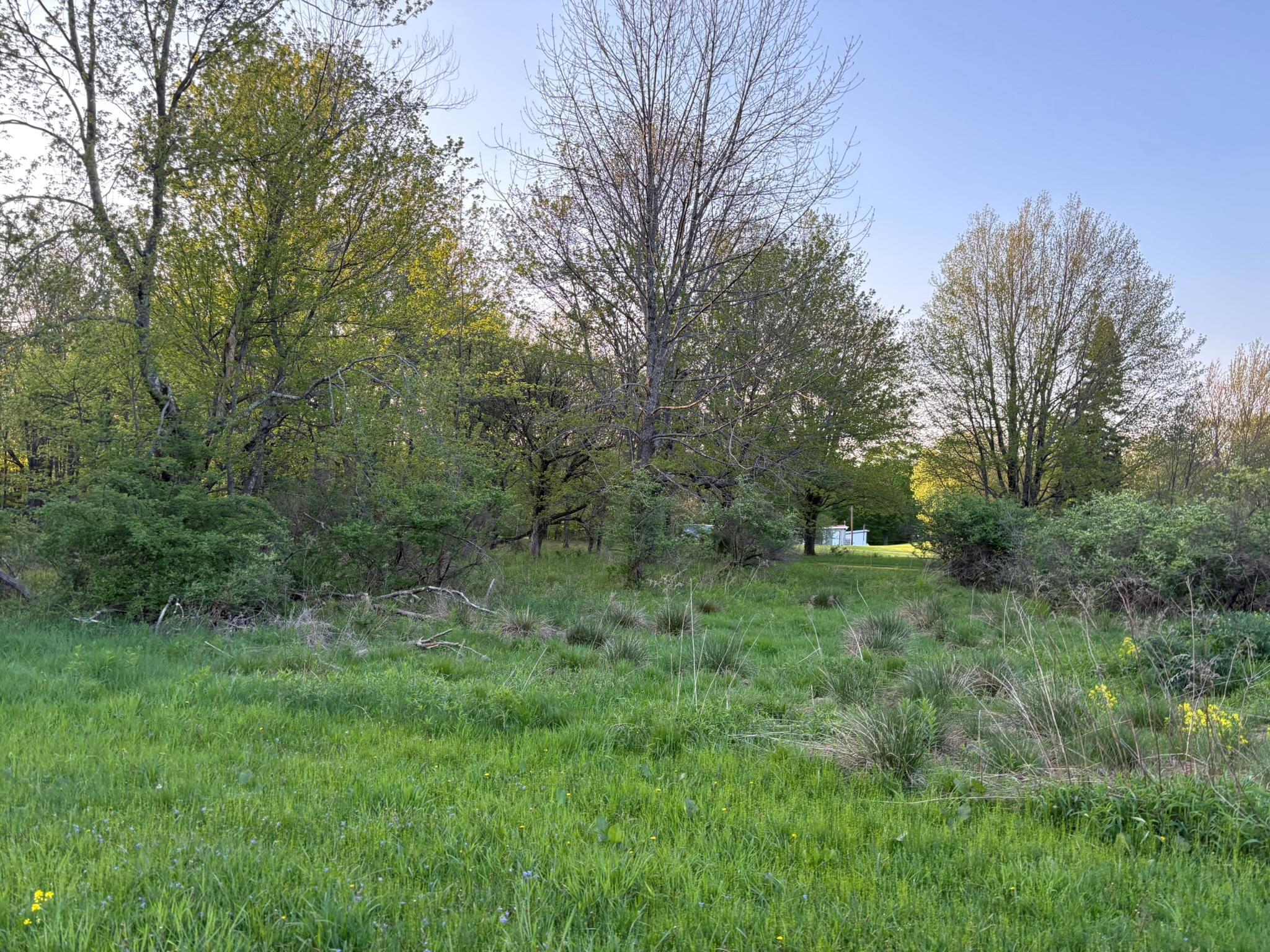 Single Family Wade  Sullivan County, NY 12754, MLS-860527-31