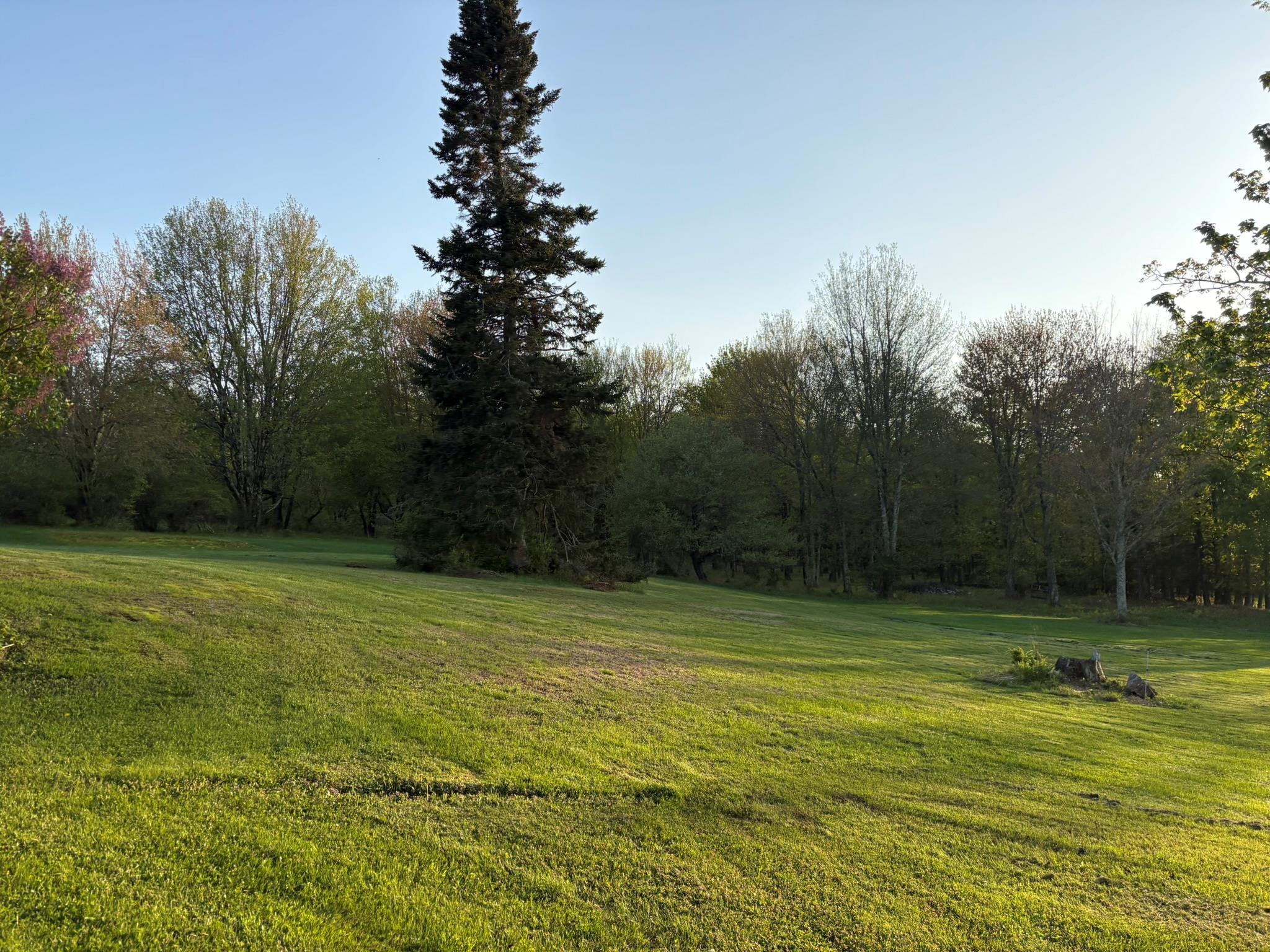 Single Family Wade  Sullivan County, NY 12754, MLS-860527-36