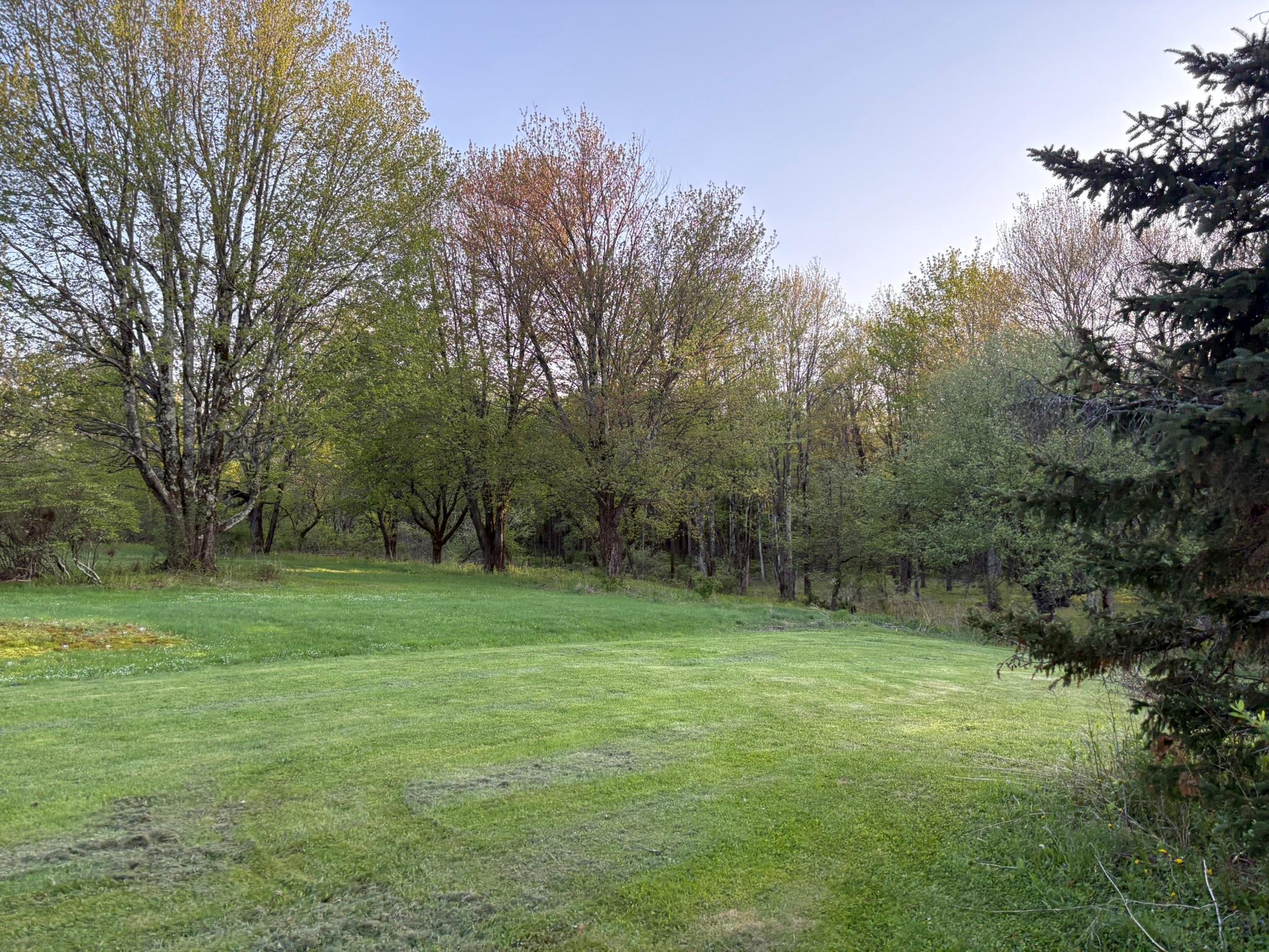 Single Family Wade  Sullivan County, NY 12754, MLS-860527-40