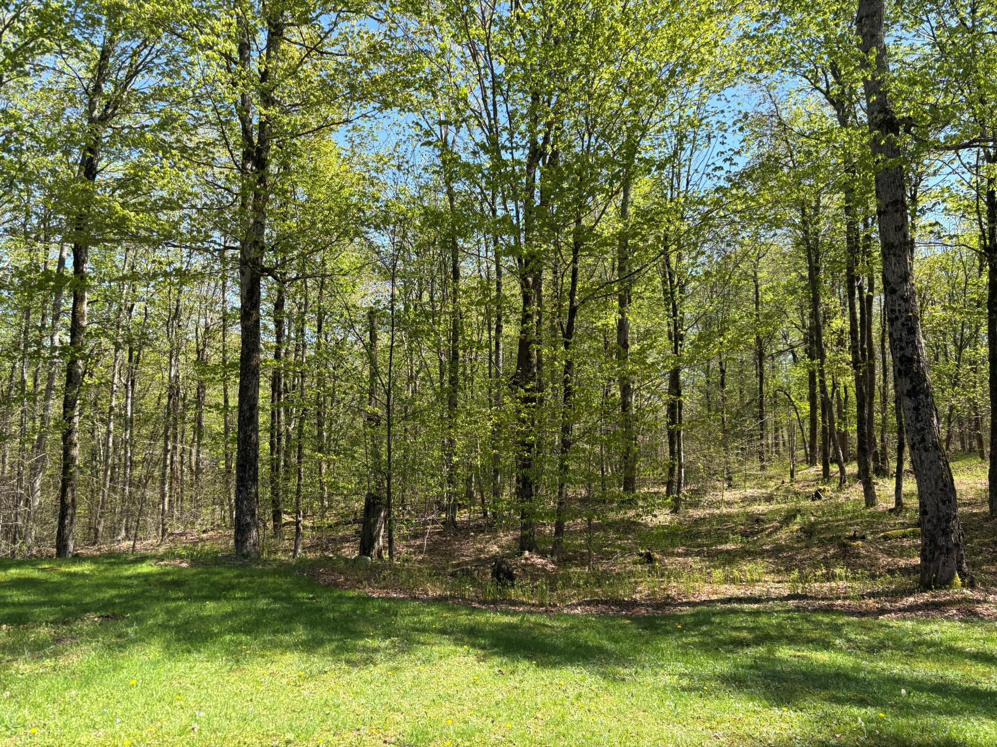 Single Family Anderson  Sullivan County, NY 12768, MLS-860614-38
