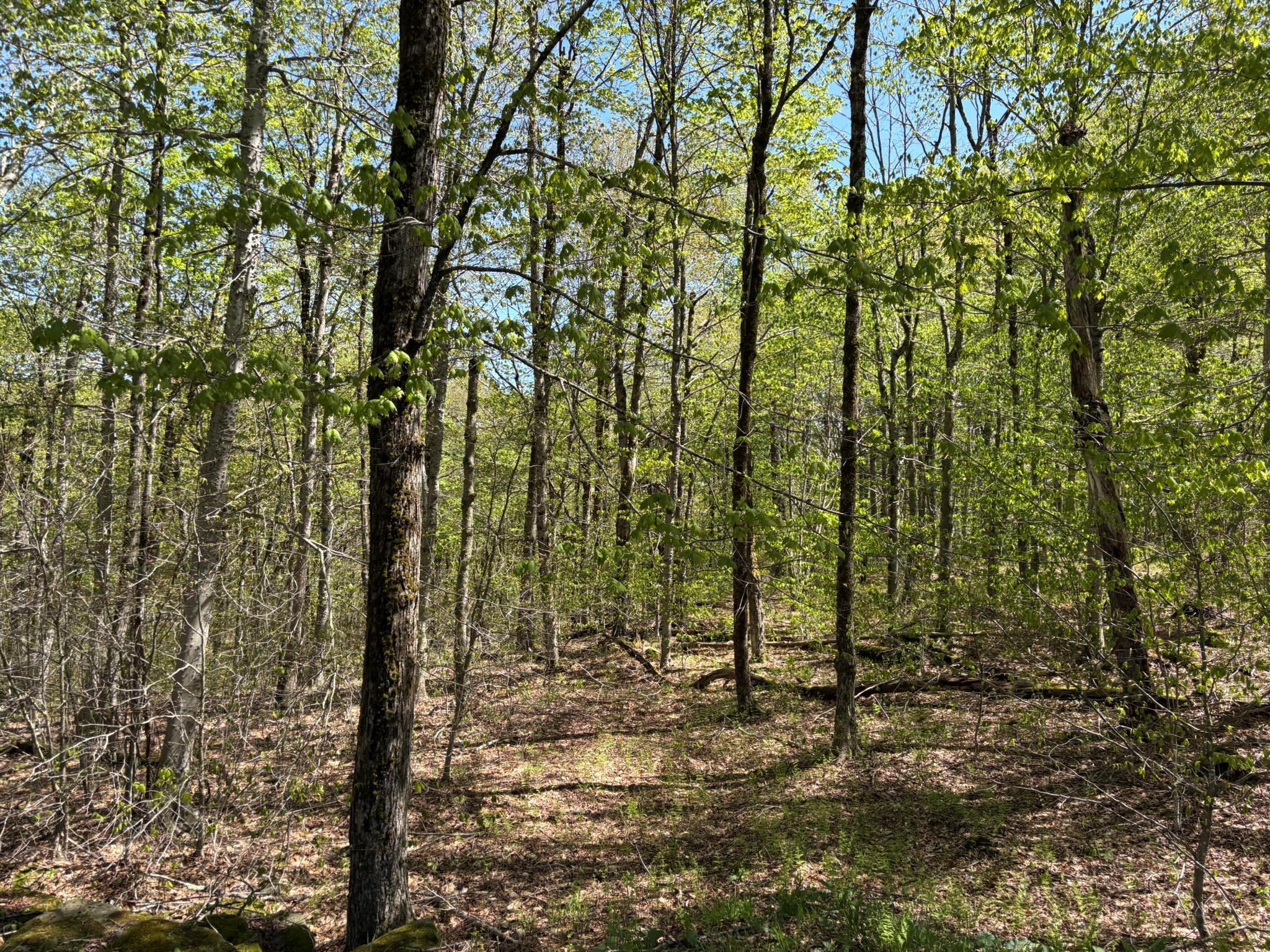 Single Family Anderson  Sullivan County, NY 12768, MLS-860614-41