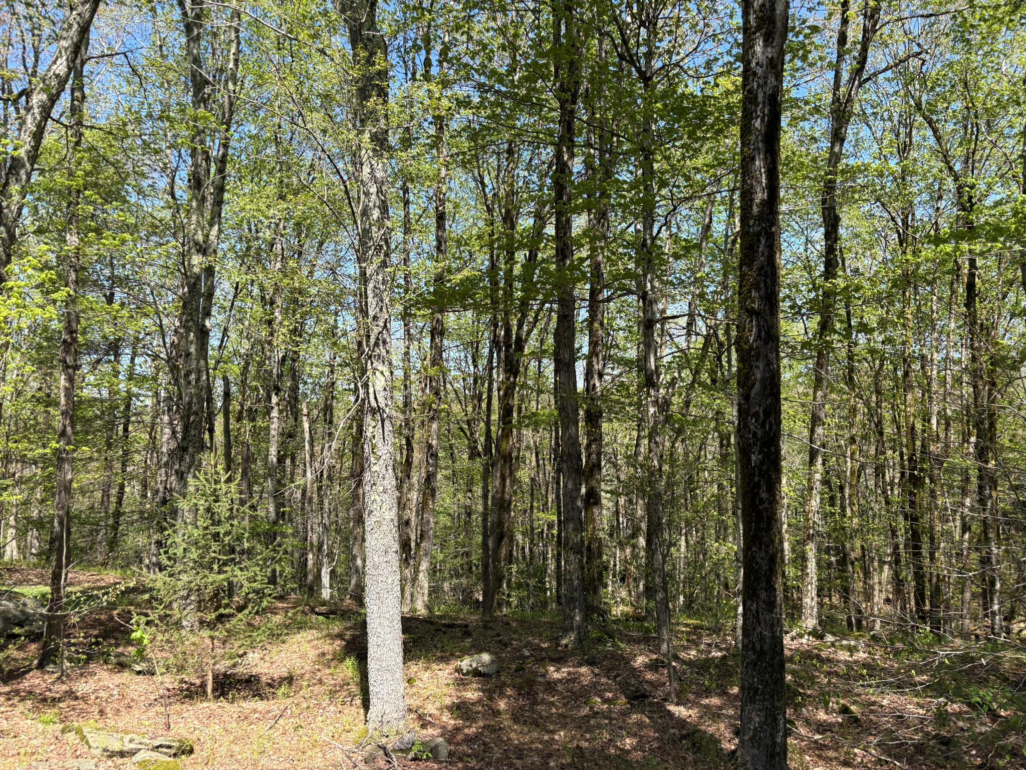 Single Family Anderson  Sullivan County, NY 12768, MLS-860614-42