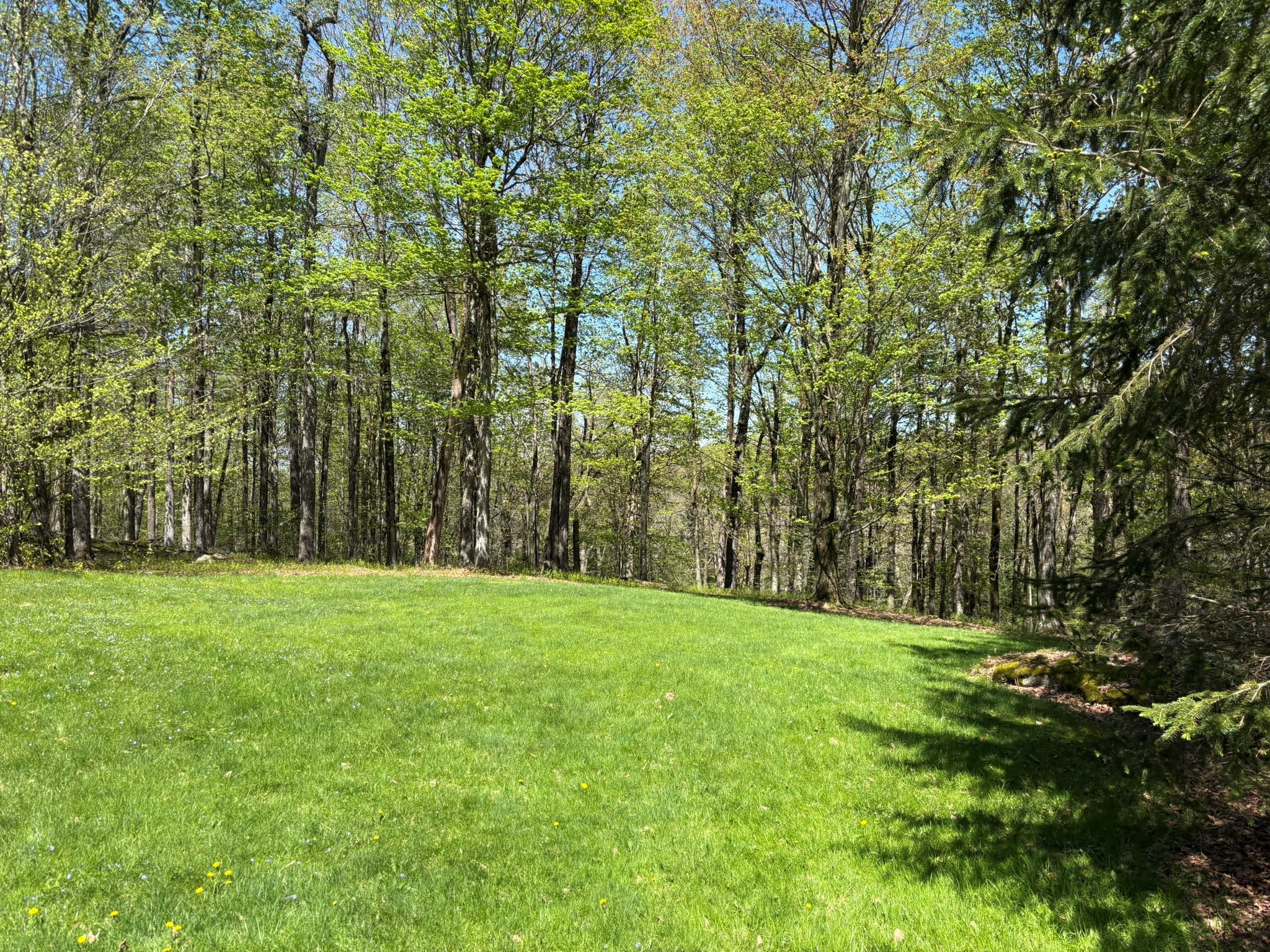 Single Family Anderson  Sullivan County, NY 12768, MLS-860614-45