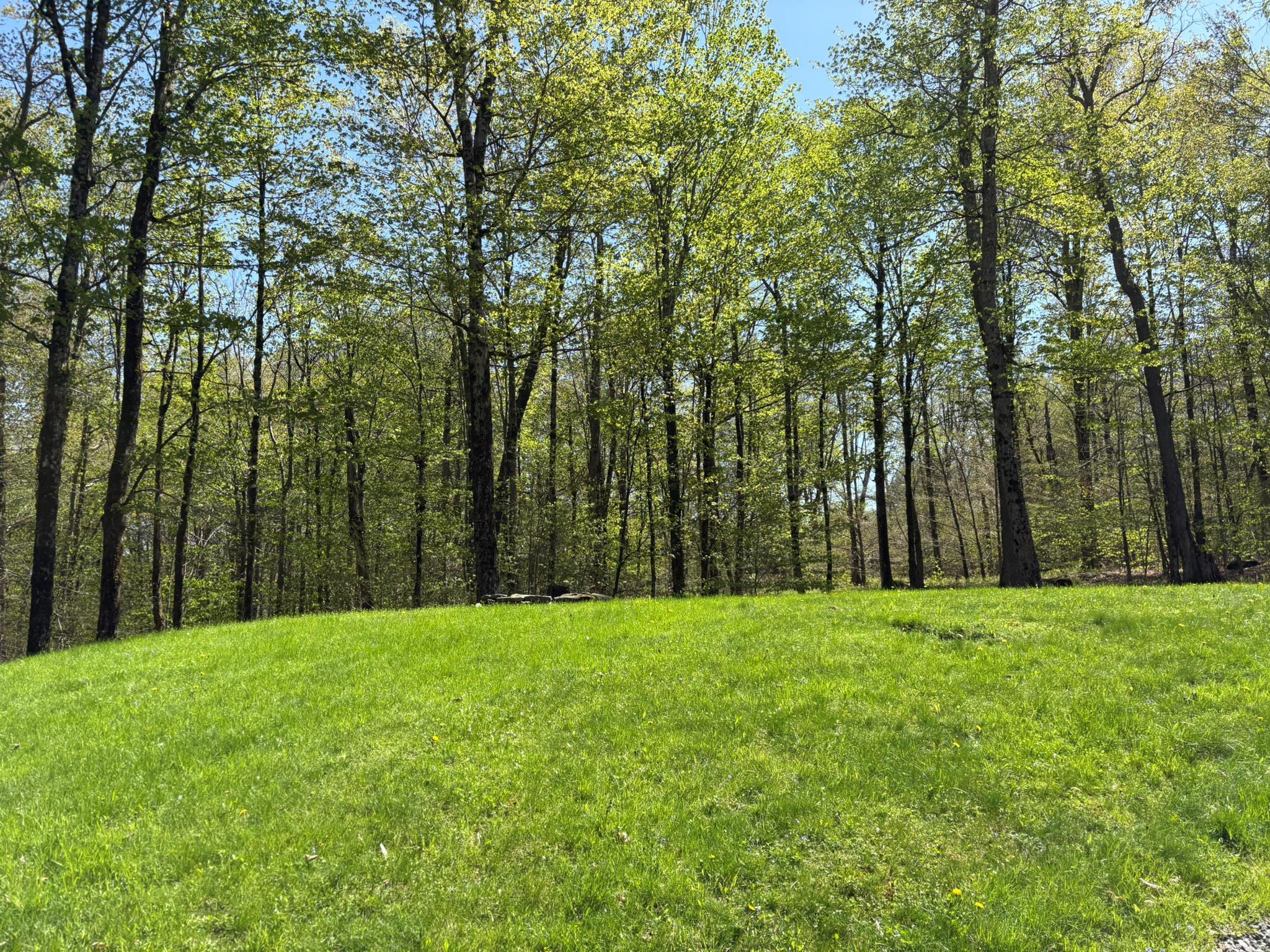 Single Family Anderson  Sullivan County, NY 12768, MLS-860614-46