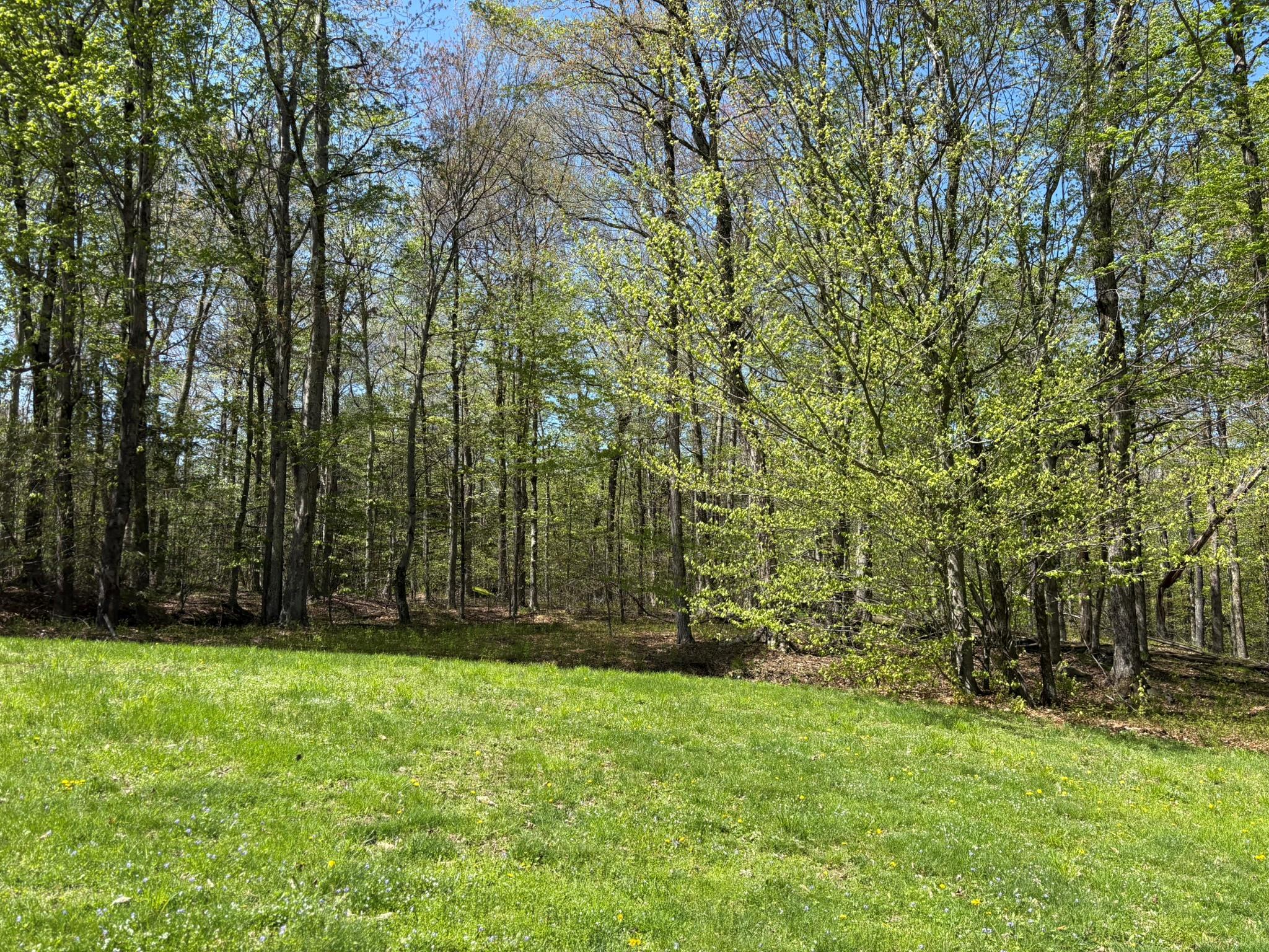 Single Family Anderson  Sullivan County, NY 12768, MLS-860614-47