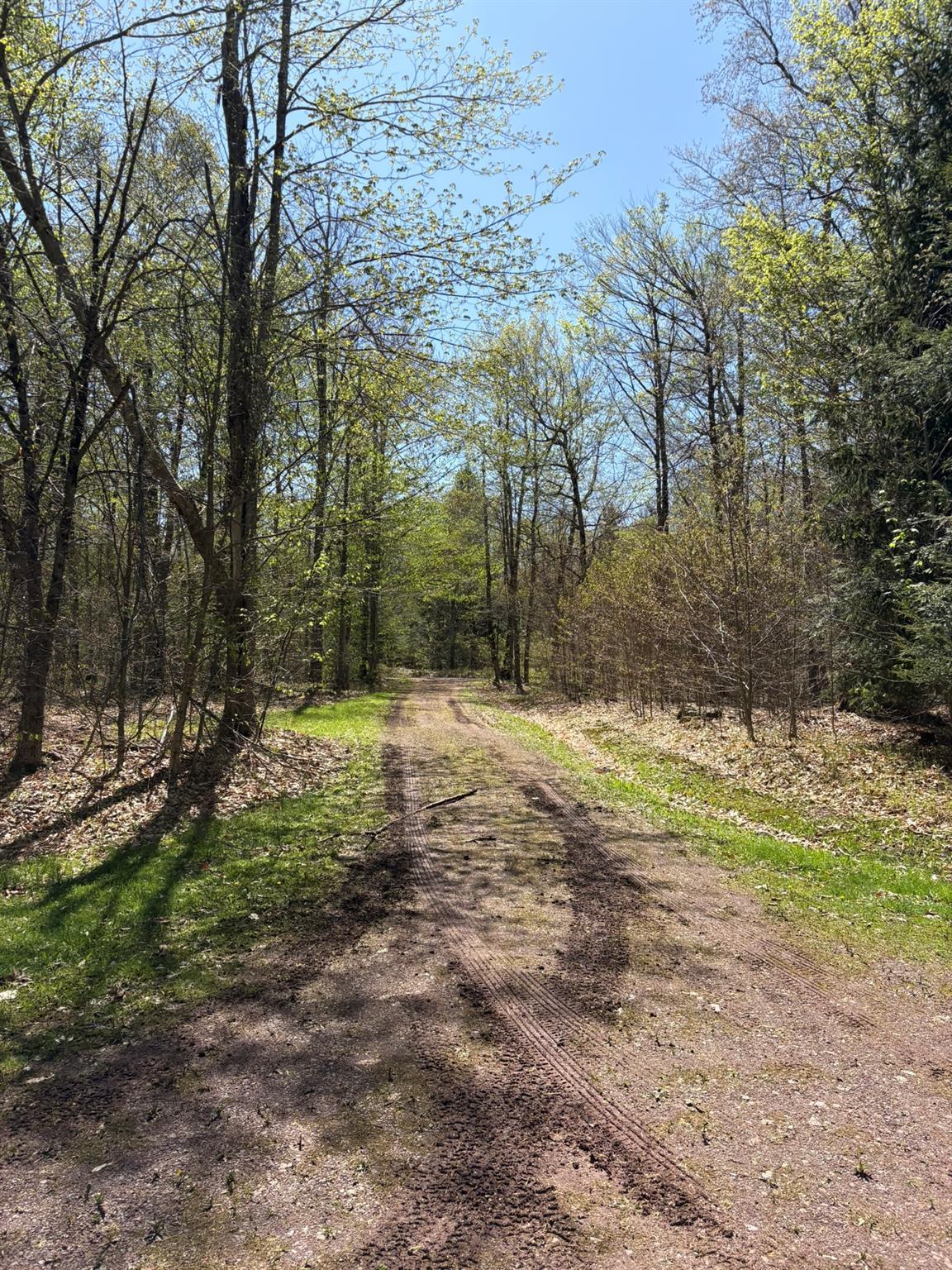 Single Family Anderson  Sullivan County, NY 12768, MLS-860614-49