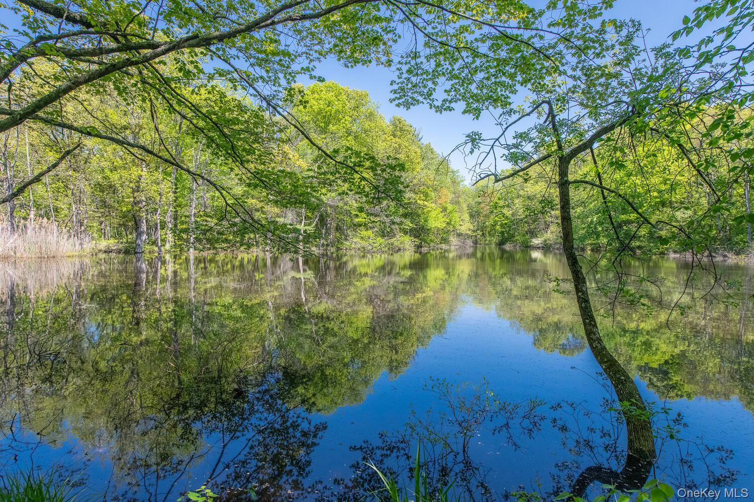 Single Family Pells Dutchess County, NY 12572, MLS-860691-45