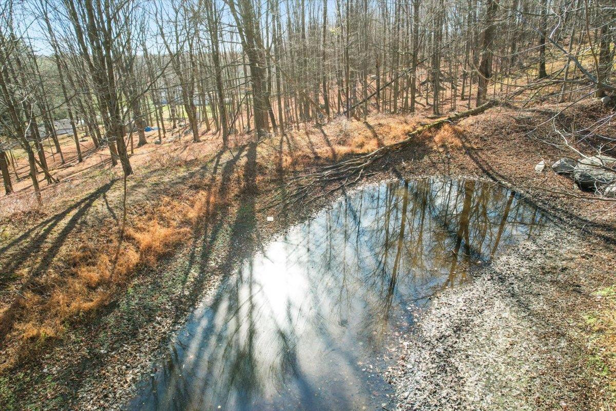 Single Family Roosa Gap  Sullivan County, NY 12721, MLS-860830-21