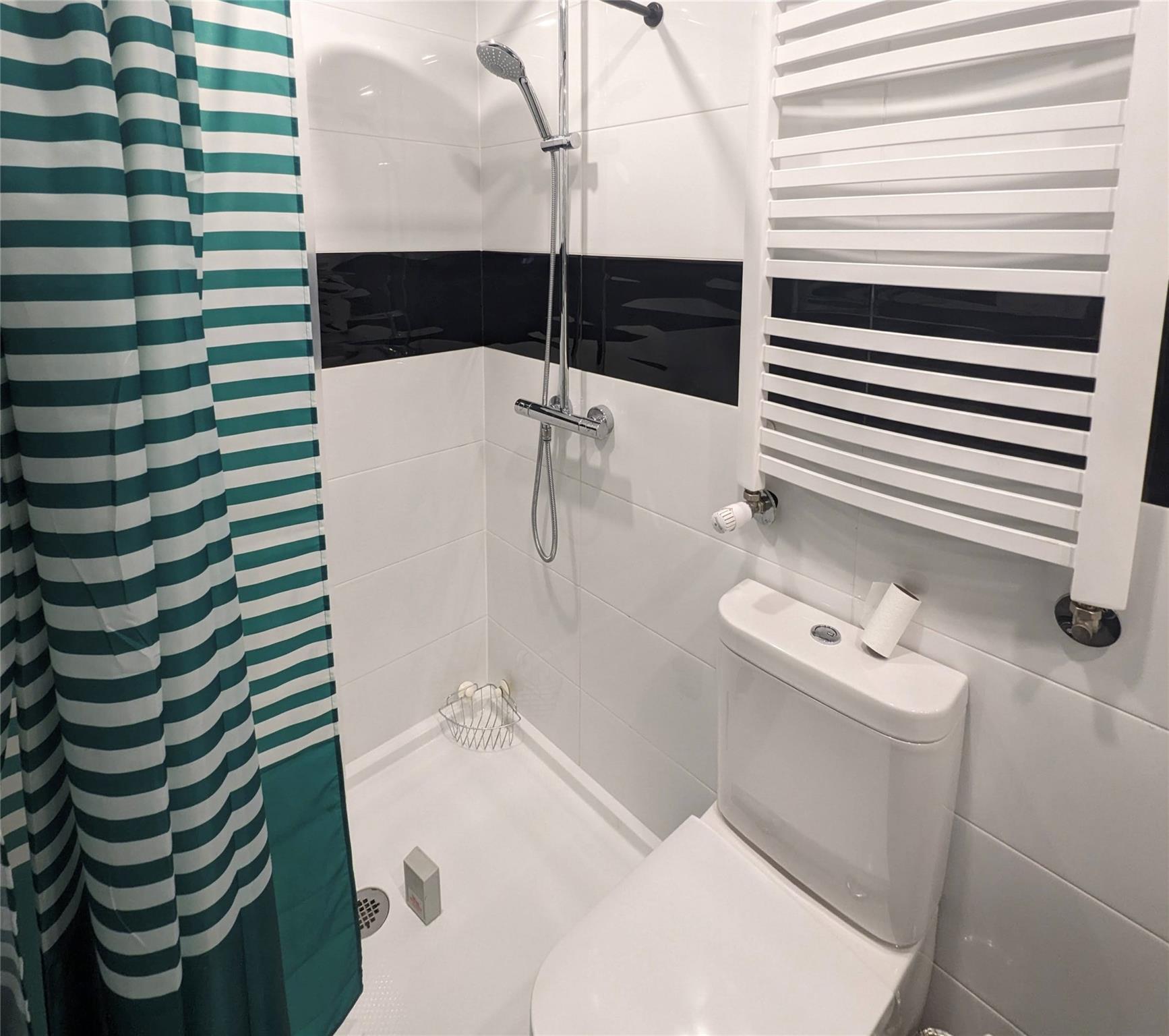 Single Family 61 Street  Queens, NY 11379, MLS-860921-14