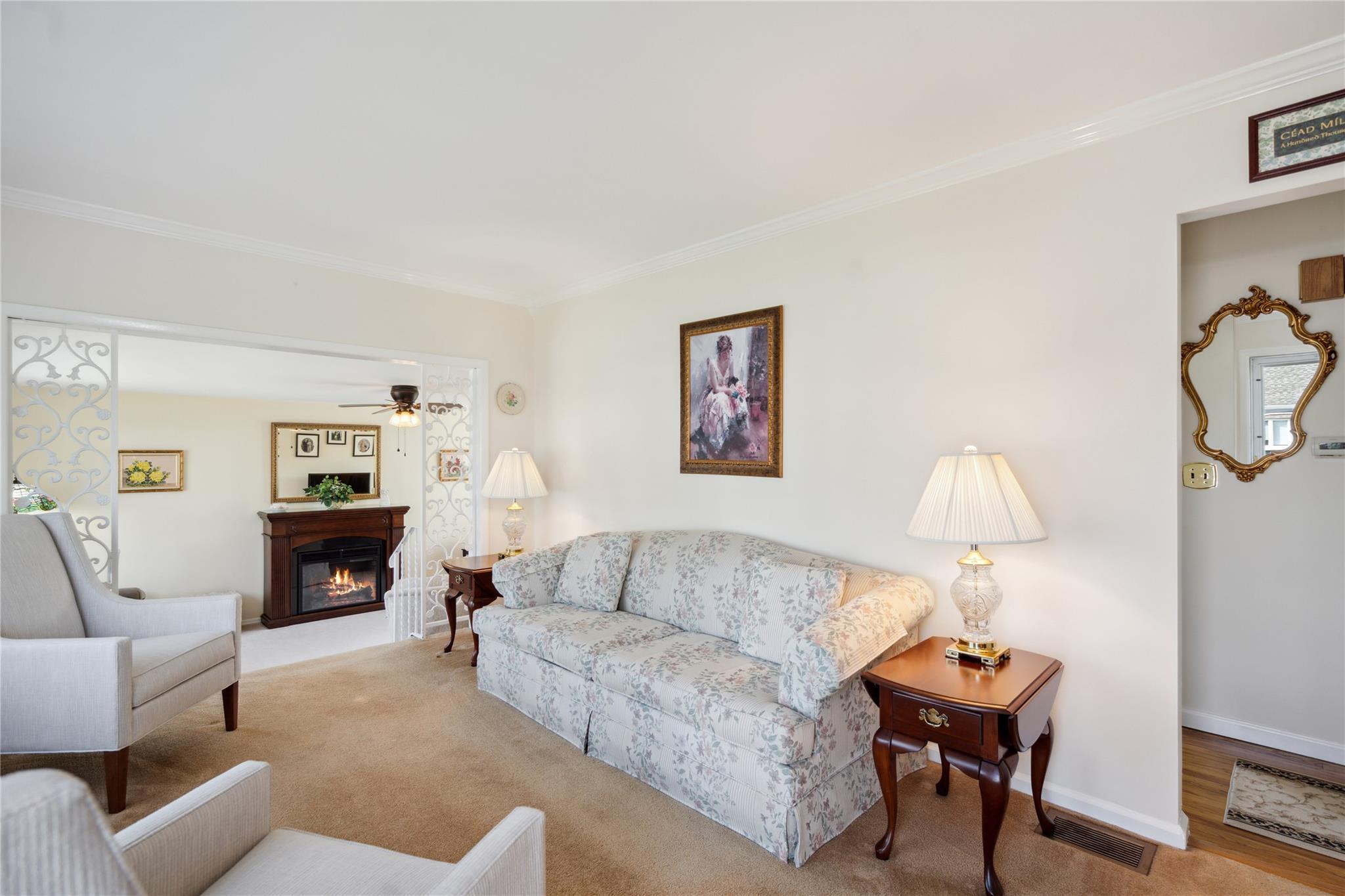 Single Family Elaine  Suffolk County, NY 11782, MLS-861033-6