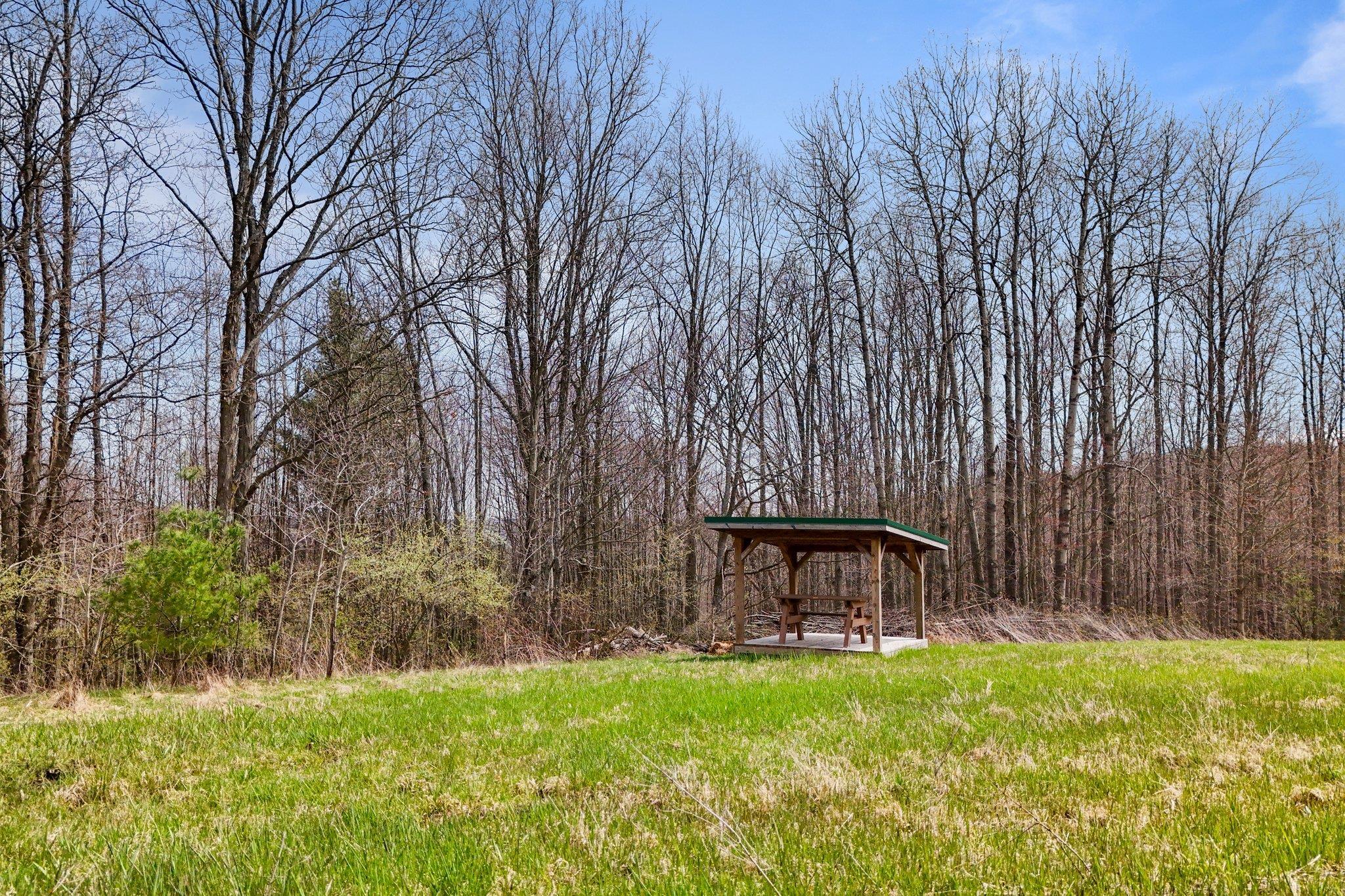 Single Family Chapel Hill  Out Of Area, NY 13743, MLS-861068-38