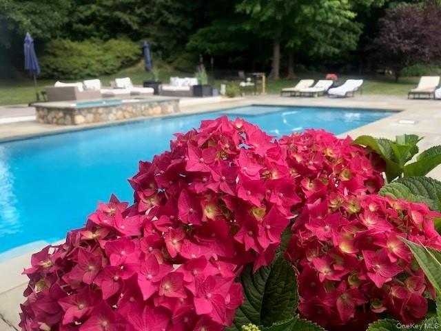 Single Family Cerf Westchester County, NY 10549, MLS-861208-42