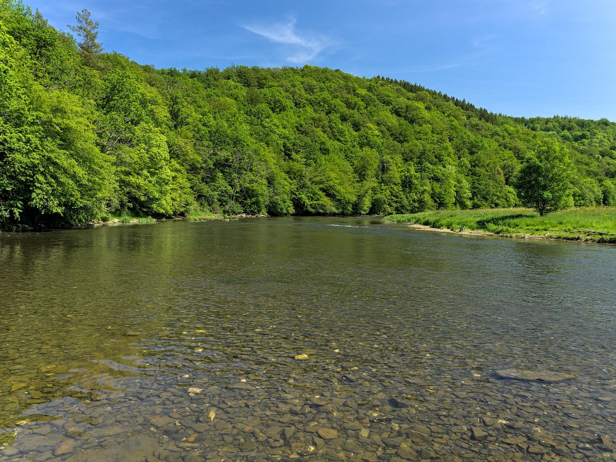 Single Family Old Route 17  Sullivan County, NY 12776, MLS-861380-27
