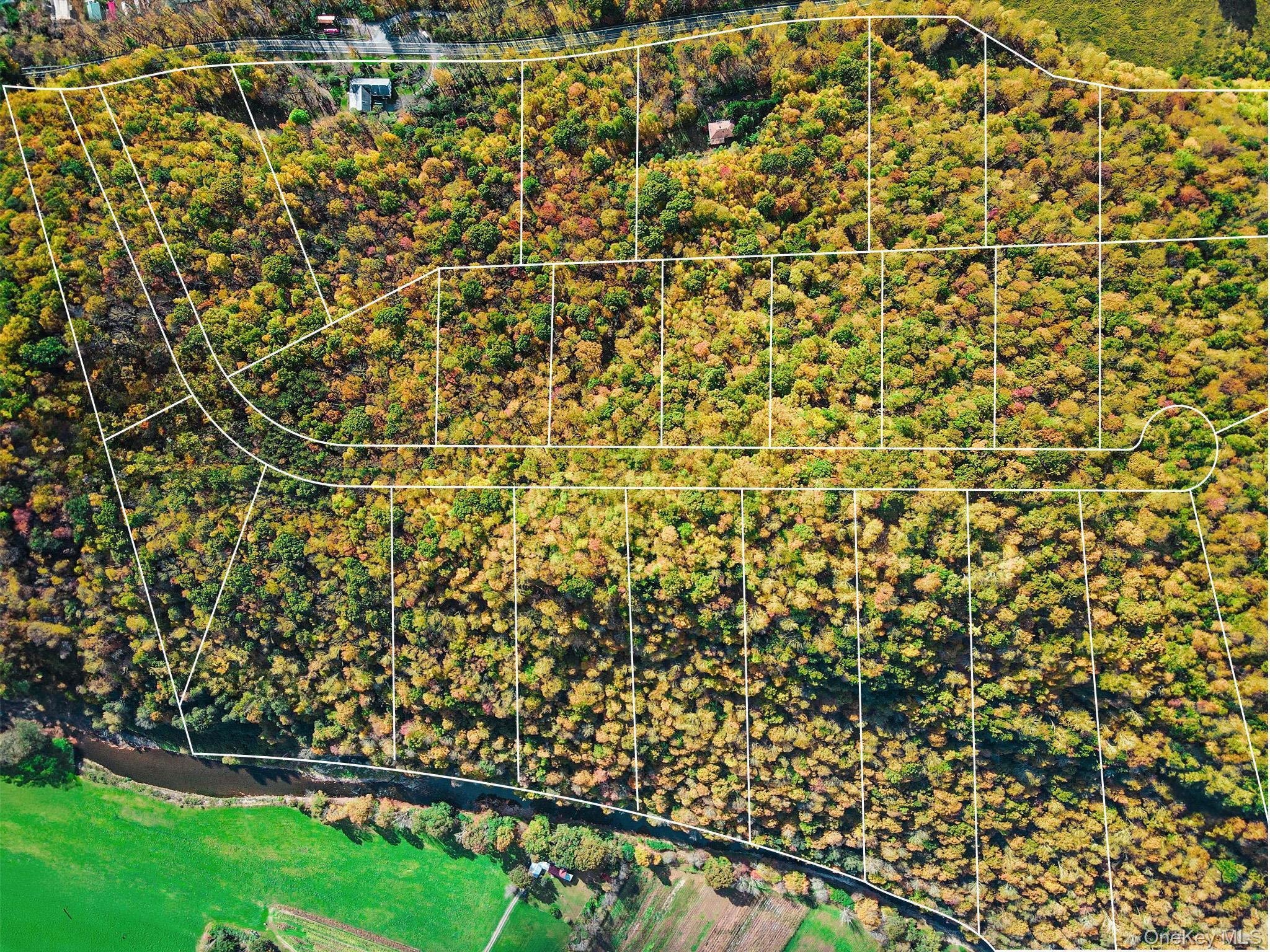 Single Family Old Route 17 Sullivan County, NY 12776, MLS-861380-33