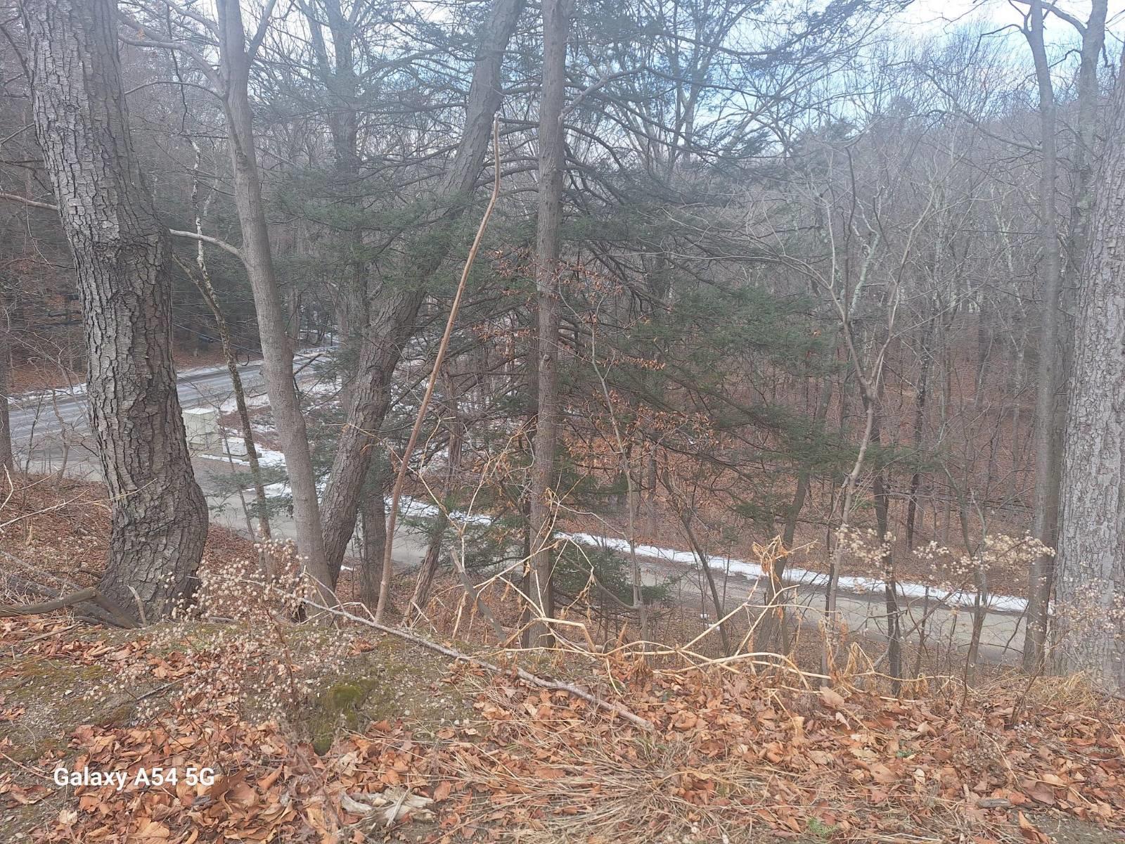 Single Family Jackson Corners  Columbia County, NY 12571, MLS-861456-12