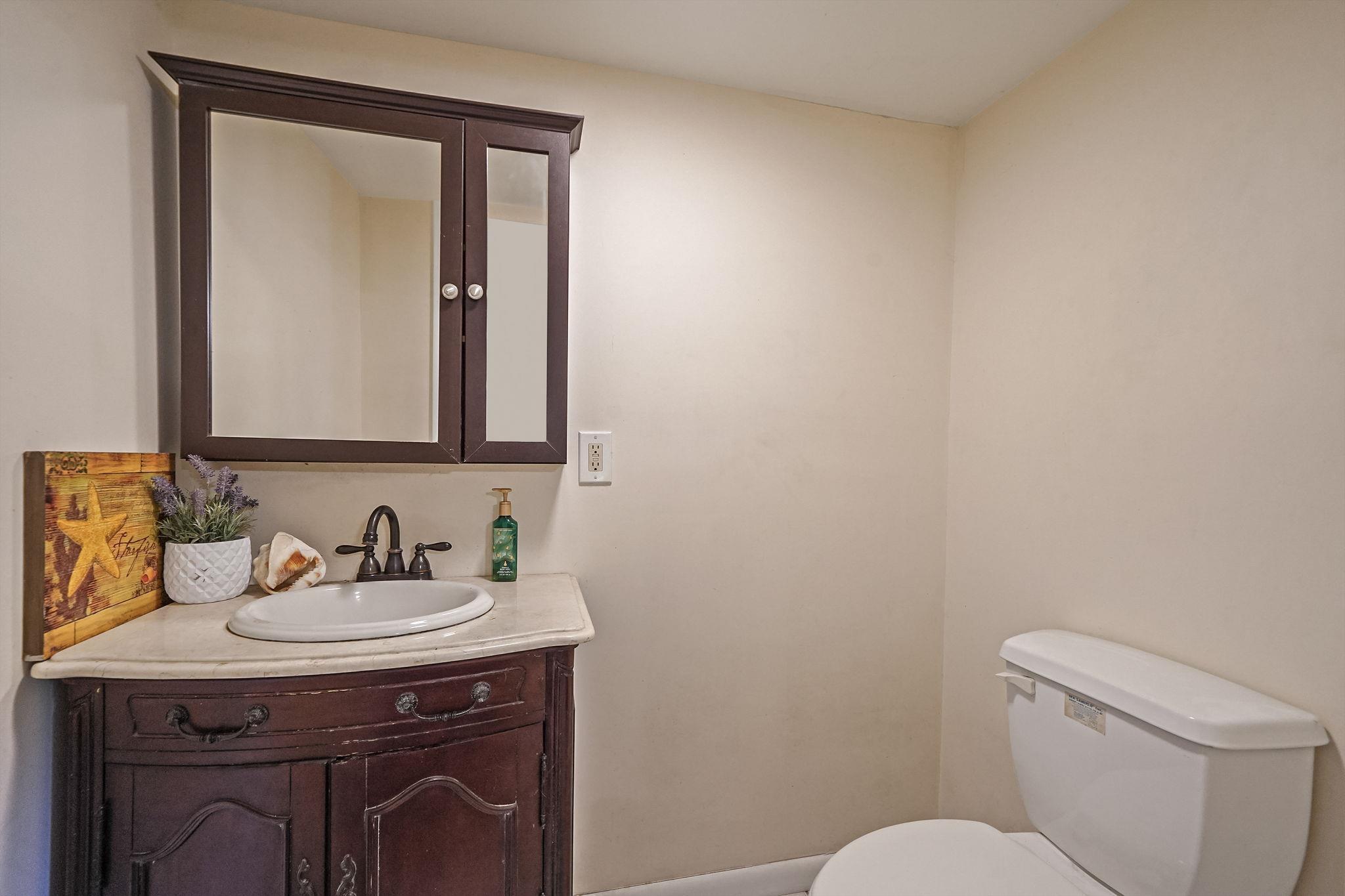 Single Family Queen  Suffolk County, NY 11789, MLS-861565-32