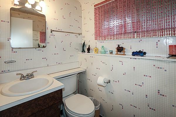 Single Family Ramondo  Suffolk County, NY 11787, MLS-861606-18