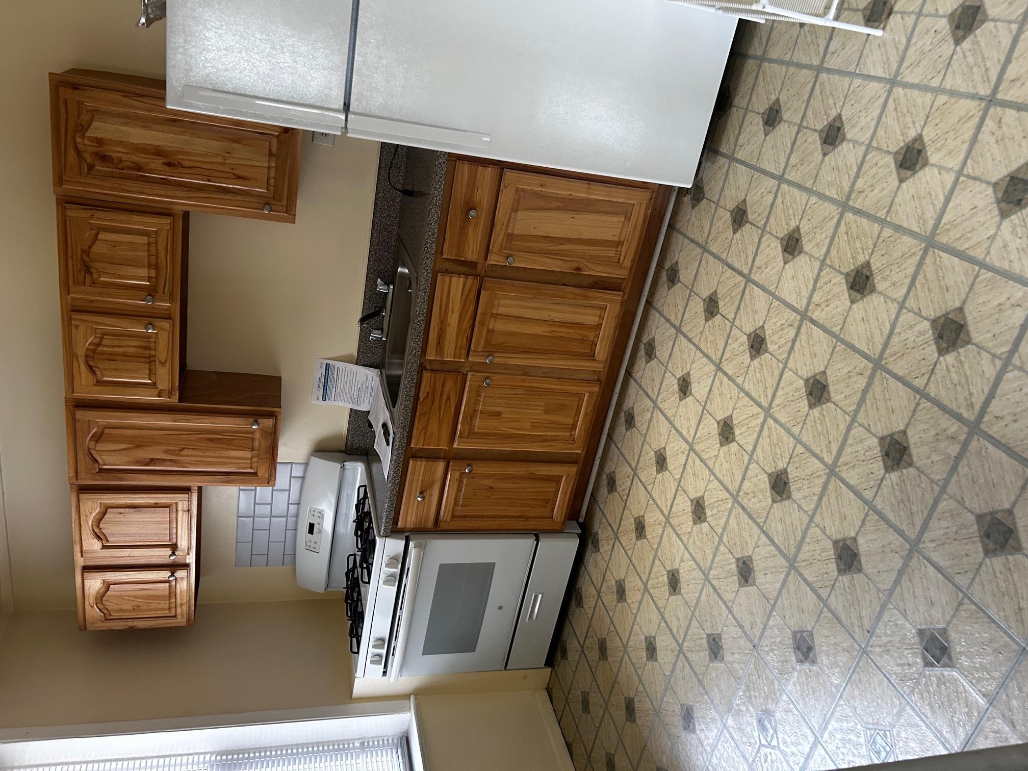 Apartment 88th  Queens, NY 11421, MLS-861617-4