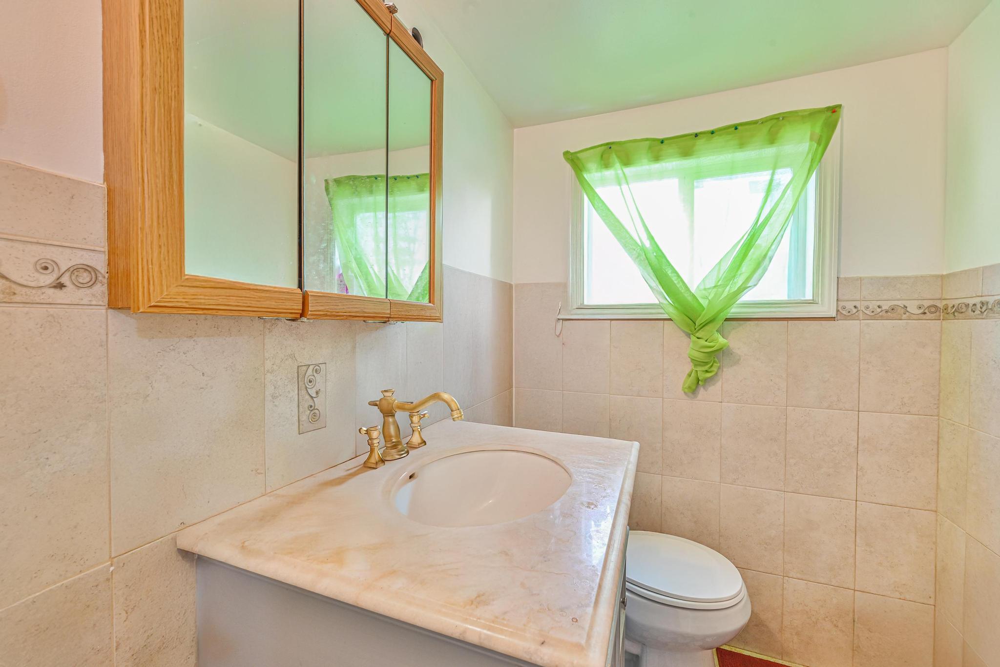 Single Family Hook Creek  Nassau County, NY 11580, MLS-861687-14