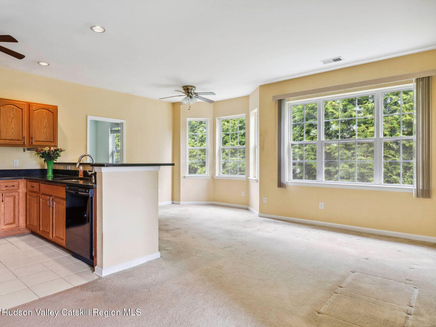 Single Family Commons  Ulster County, NY 12477, MLS-862044-5