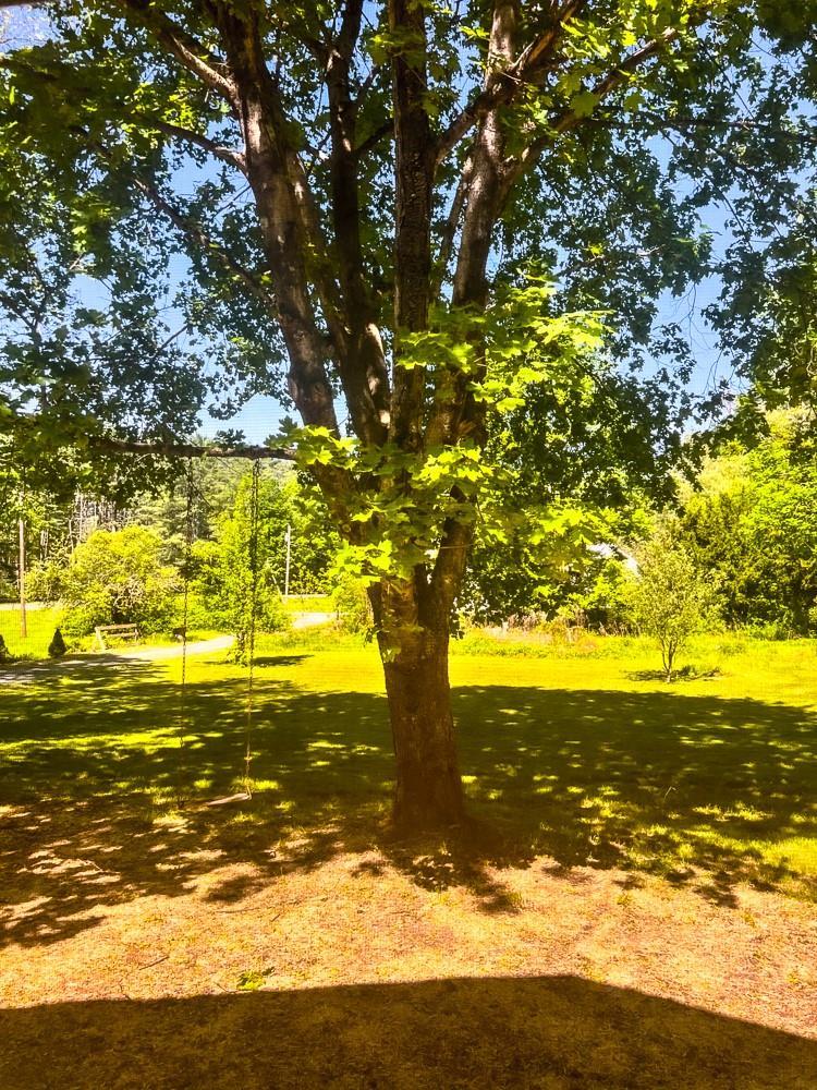 Single Family State Route 55a Sullivan County, NY 12458, MLS-862226-29