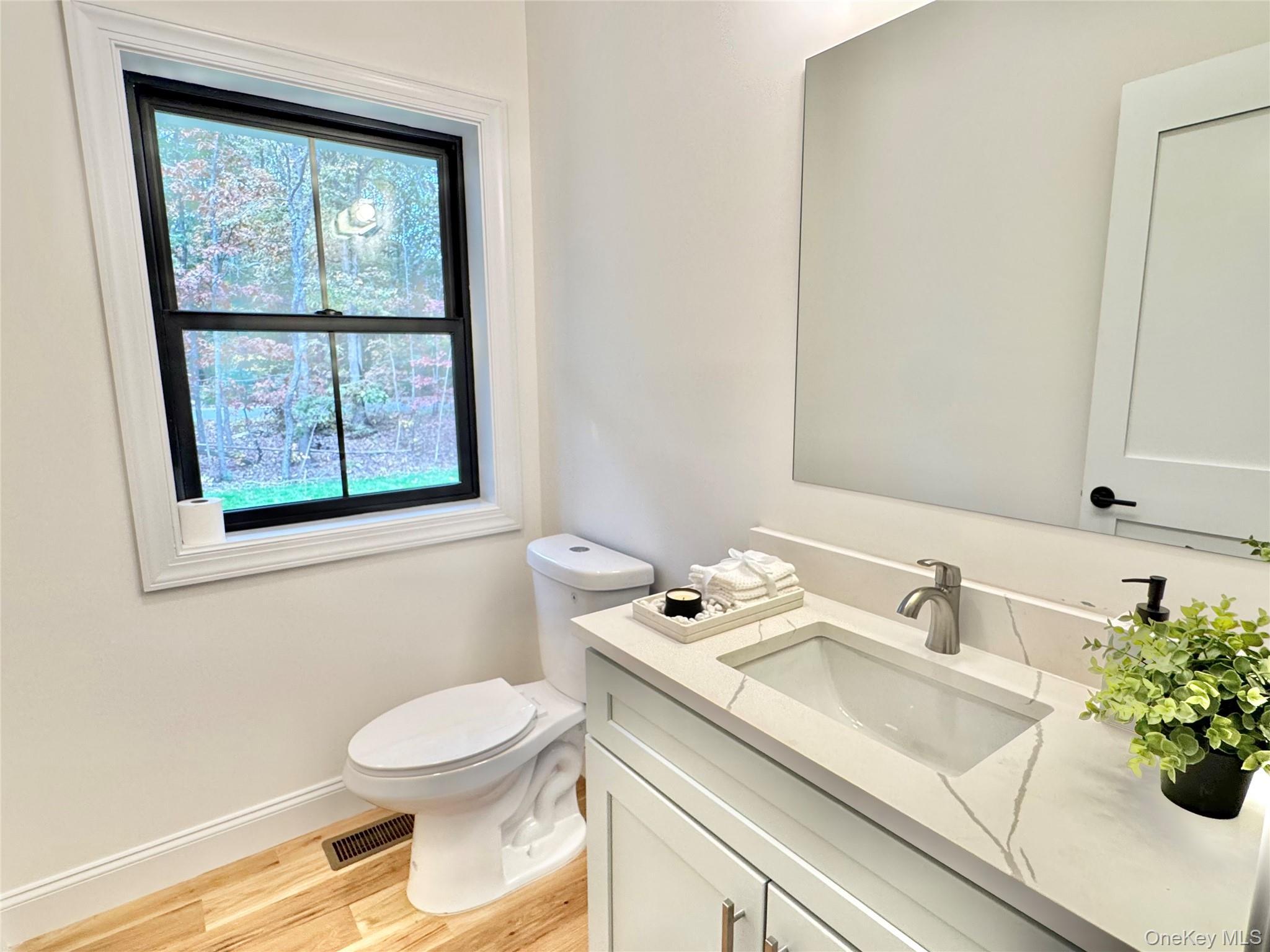 Single Family Dayton Avenue Suffolk County, NY 11949, MLS-862252-16