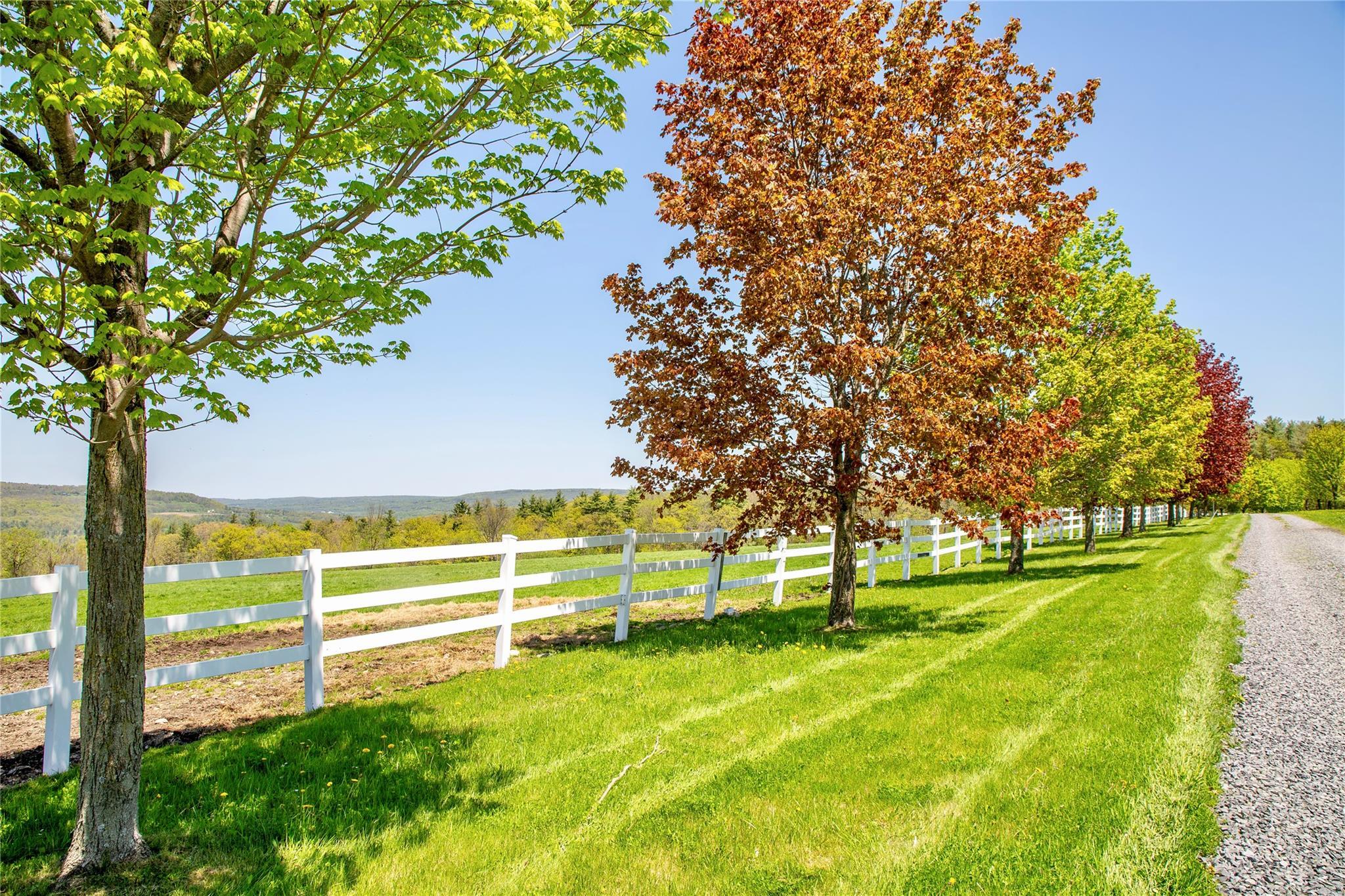 Single Family Upper Brown Road  Out Of Area, NY 12066, MLS-862297-17
