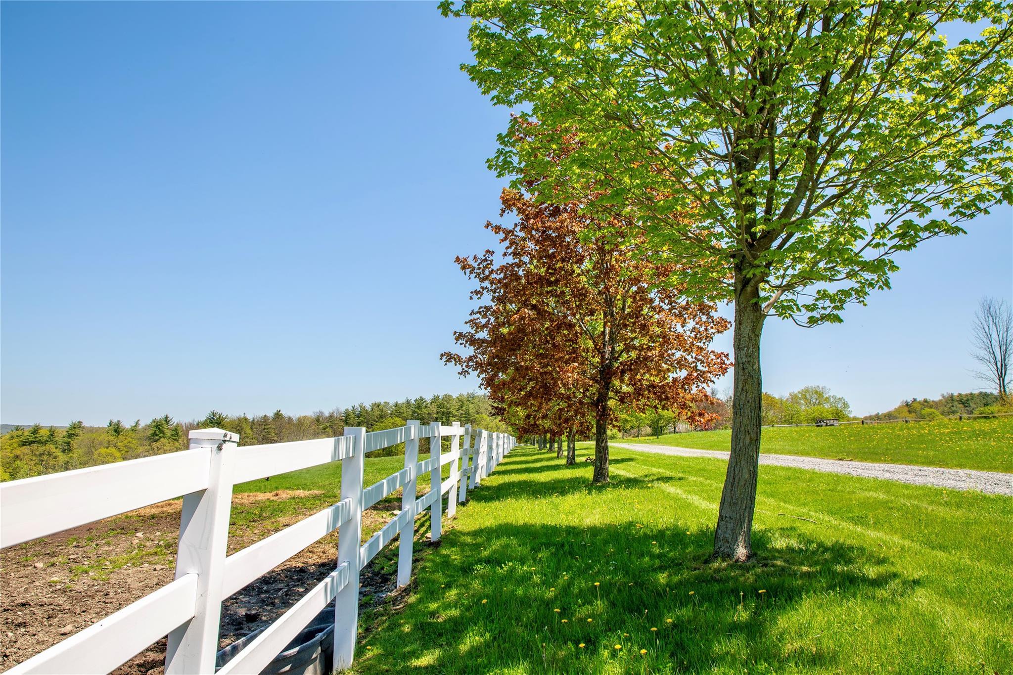 Single Family Upper Brown Road  Out Of Area, NY 12066, MLS-862297-39