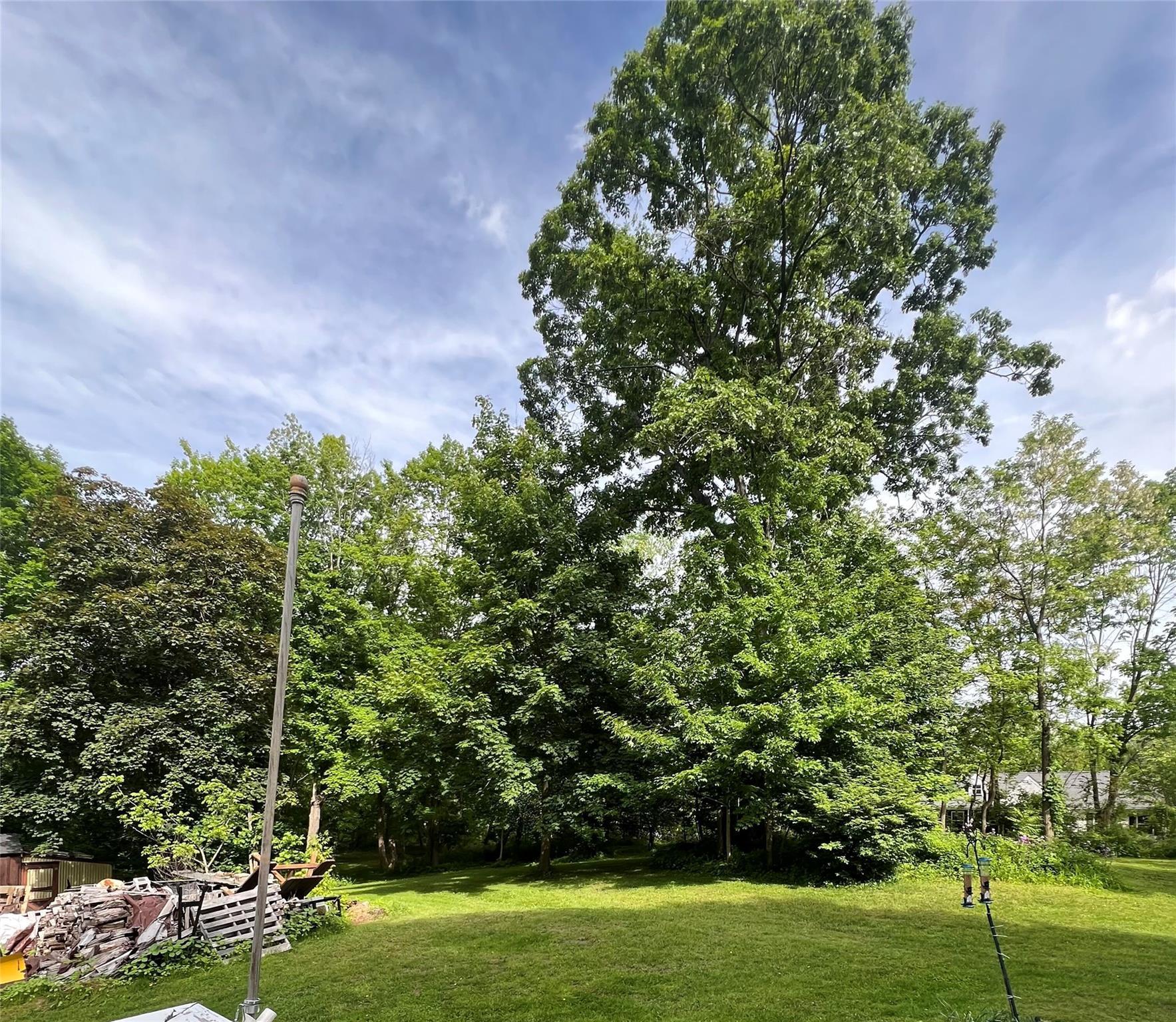 Single Family Route 217  Columbia County, NY 12534, MLS-862320-9