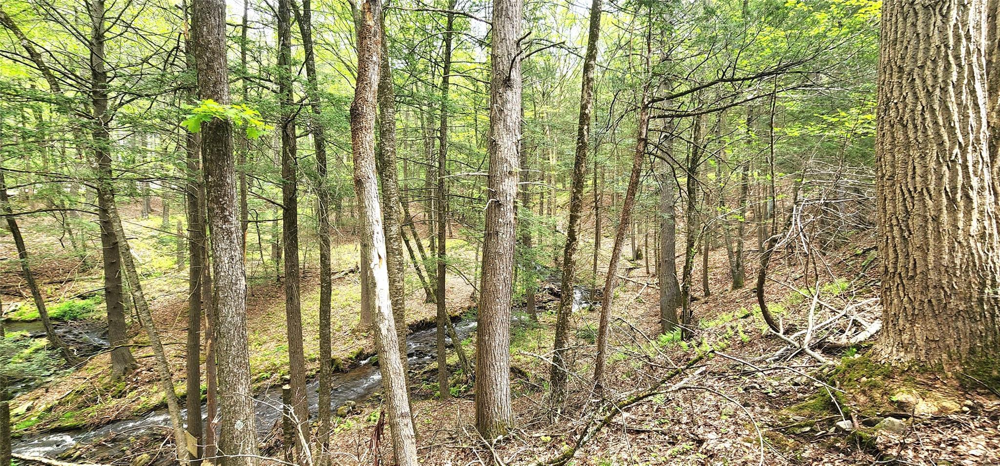 Single Family Hillside  Sullivan County, NY 12719, MLS-862442-16