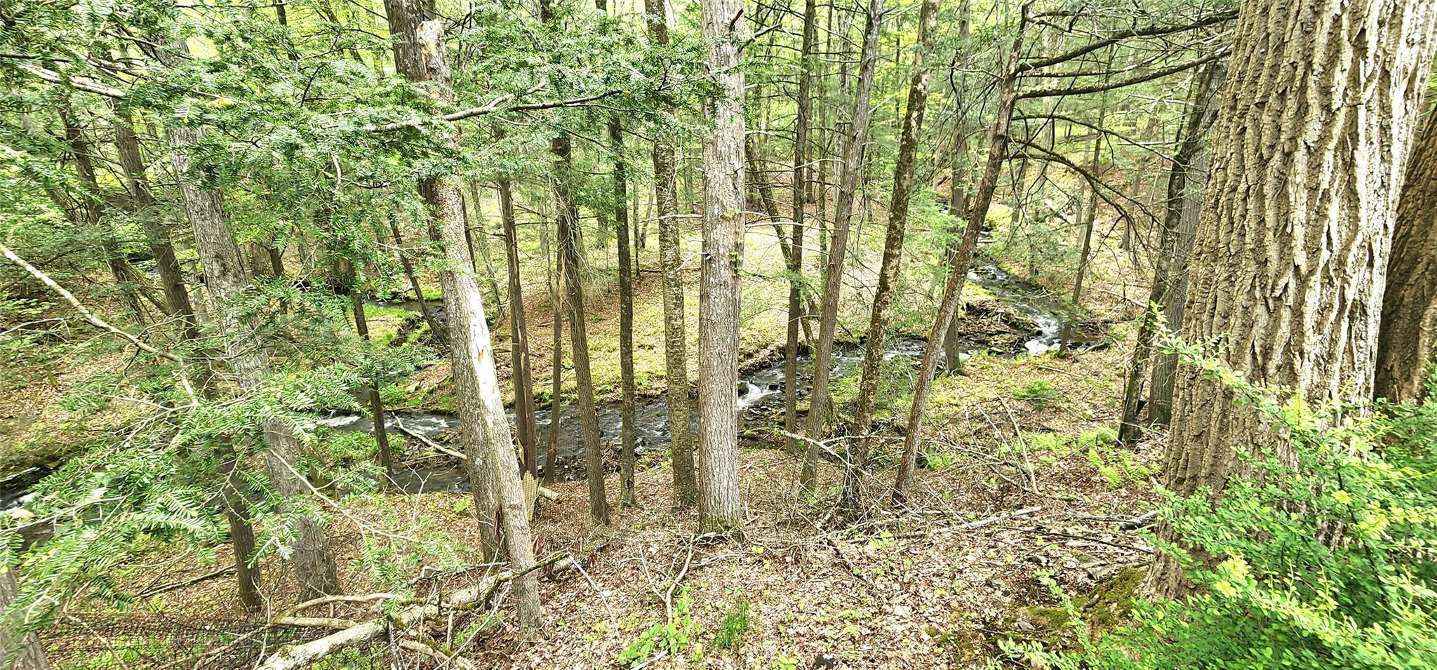 Single Family Hillside  Sullivan County, NY 12719, MLS-862442-17