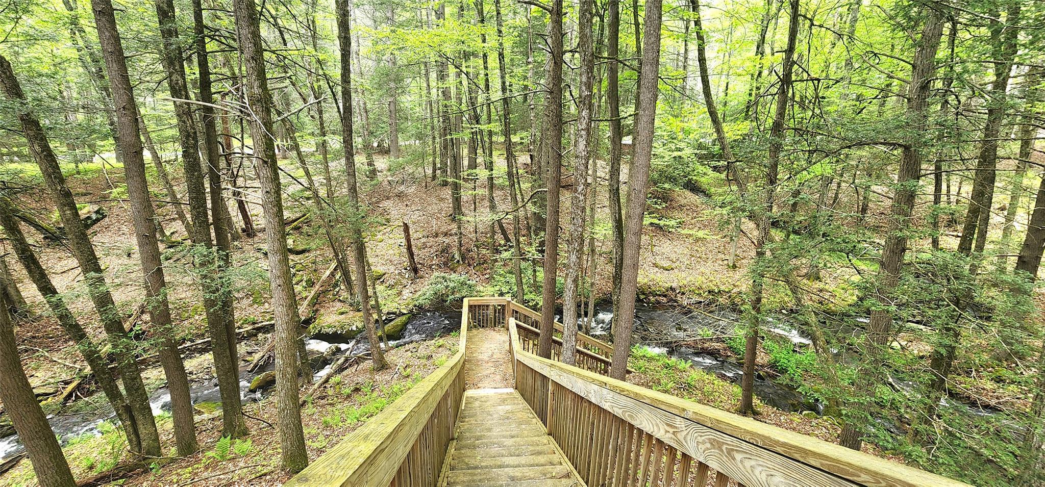 Single Family Hillside  Sullivan County, NY 12719, MLS-862442-18