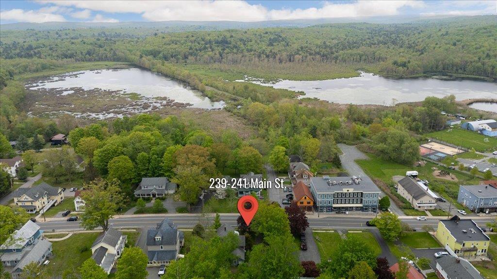 Single Family Hurleyville Main  Sullivan County, NY 12747, MLS-862508-40