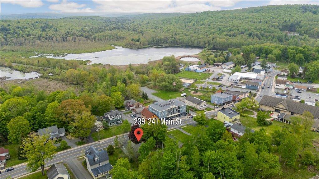 Single Family Hurleyville Main  Sullivan County, NY 12747, MLS-862508-41