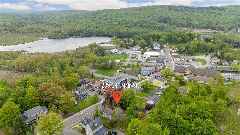 Single Family Hurleyville Main  Sullivan County, NY 12747, MLS-862508-42