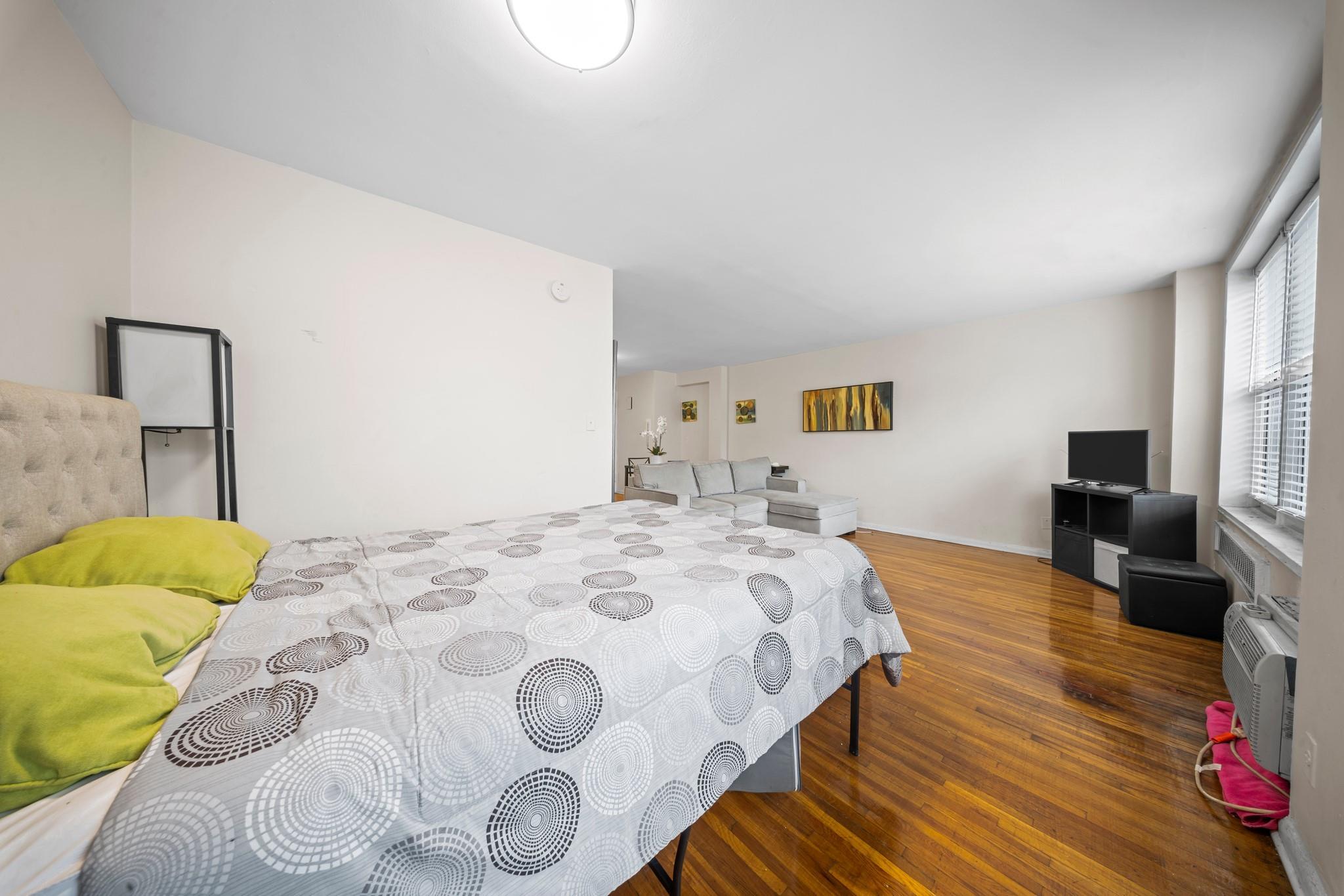 Apartment Street  Brooklyn, NY 11210, MLS-862613-14