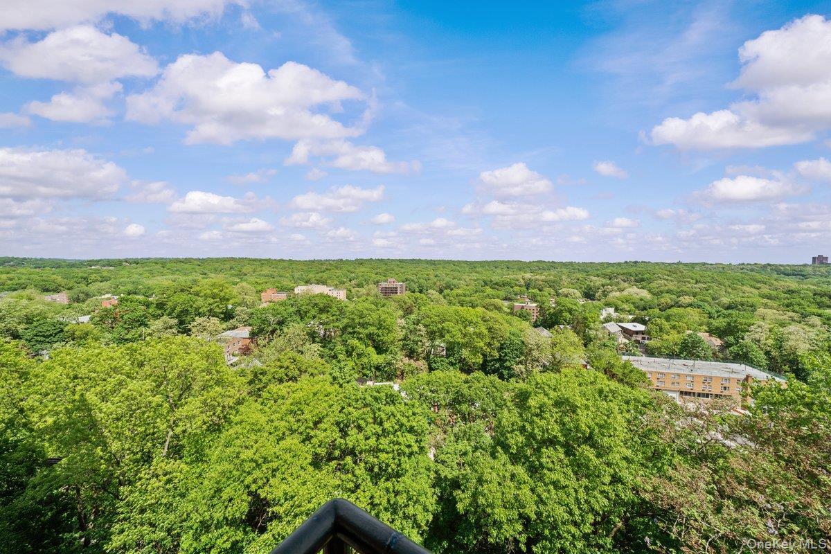 Coop Fieldston  Bronx, NY 10471, MLS-862615-14