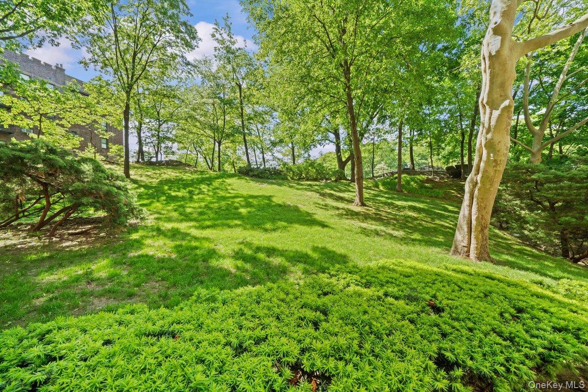 Coop Fieldston  Bronx, NY 10471, MLS-862615-19