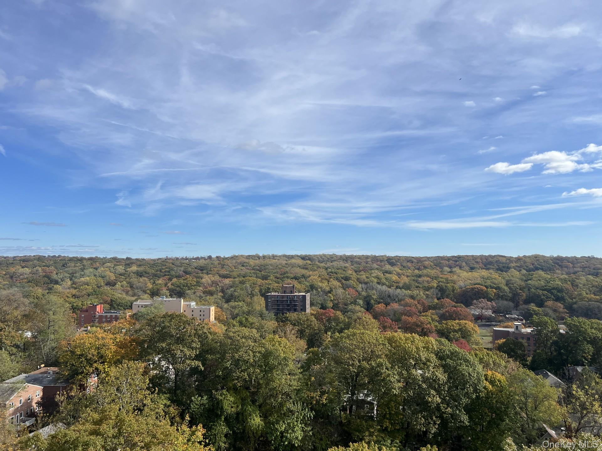 Coop Fieldston  Bronx, NY 10471, MLS-862615-9