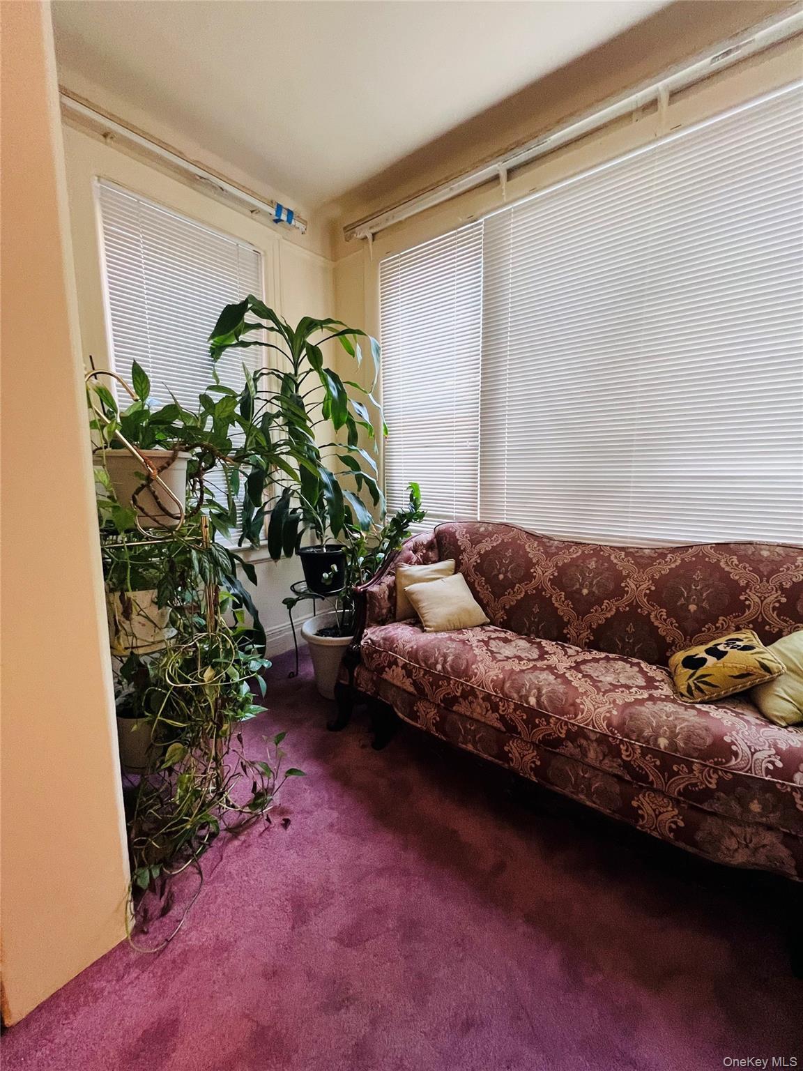 Single Family Anderson Bronx, NY 10452, MLS-862635-9