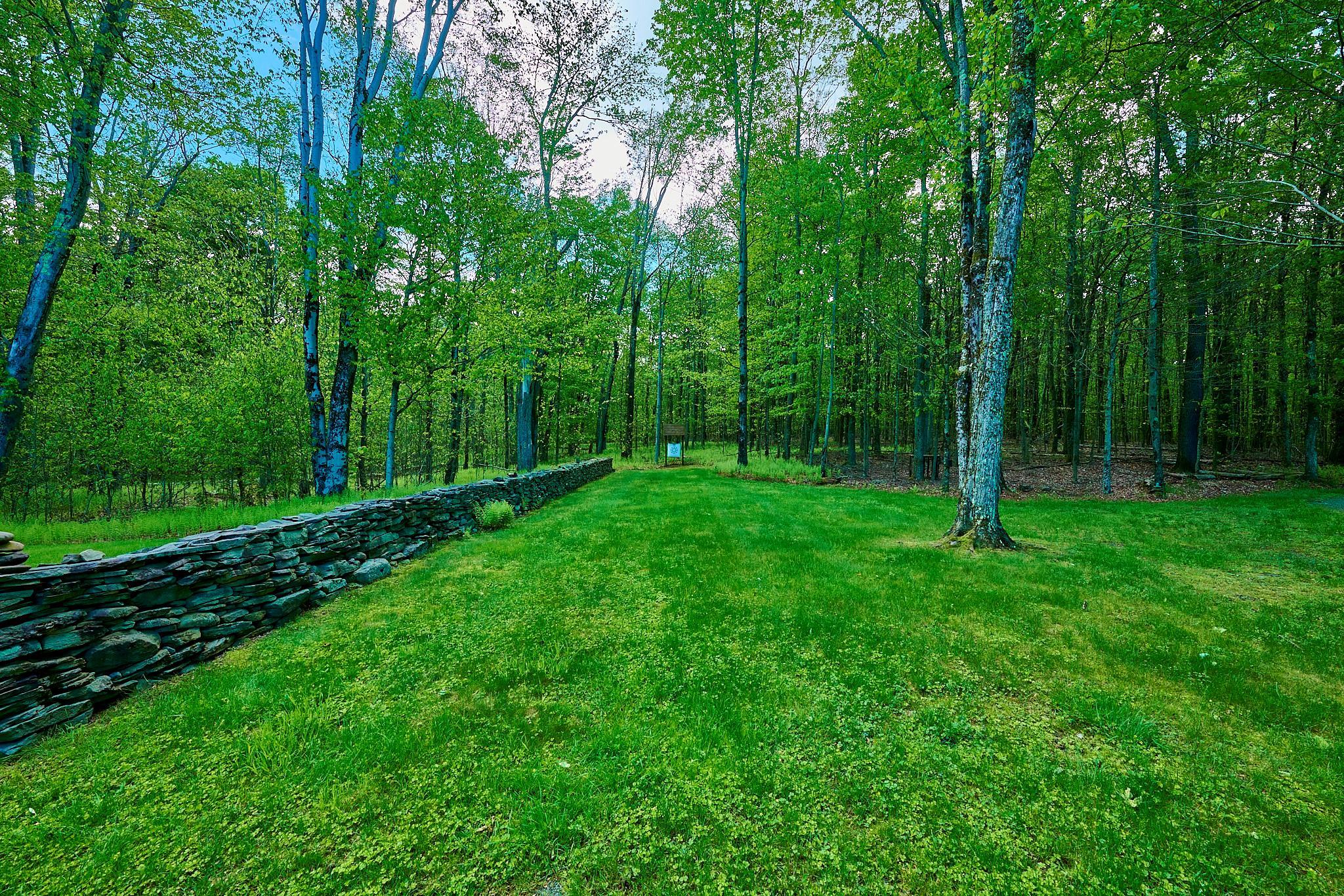 Single Family Chapin  Sullivan County, NY 12720, MLS-862705-10