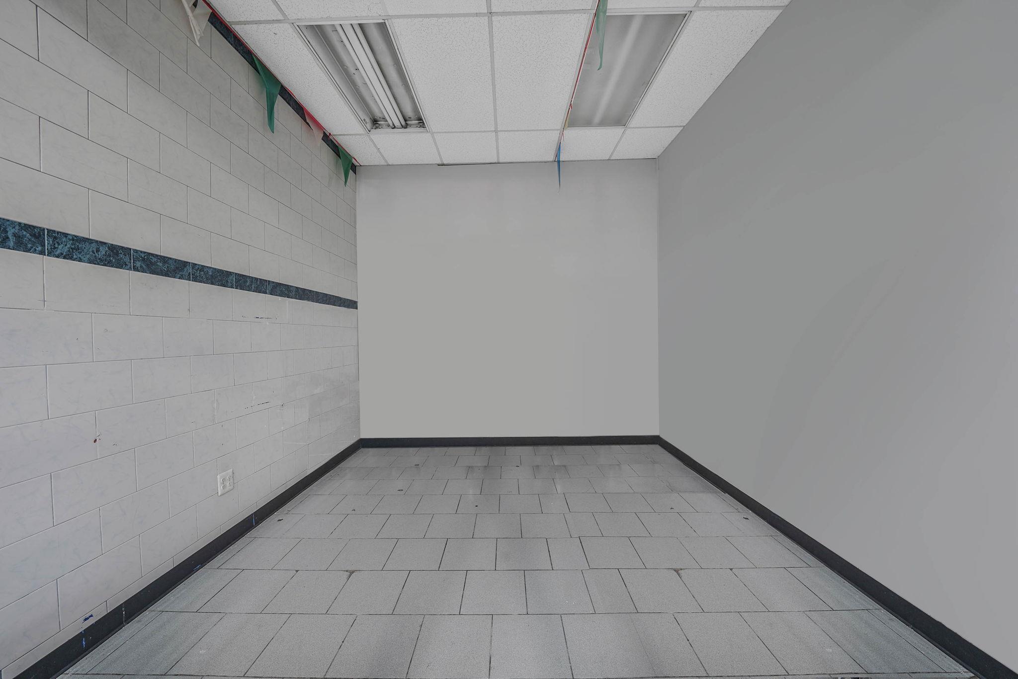 Business Opportunity 137th  Bronx, NY 10454, MLS-862717-7