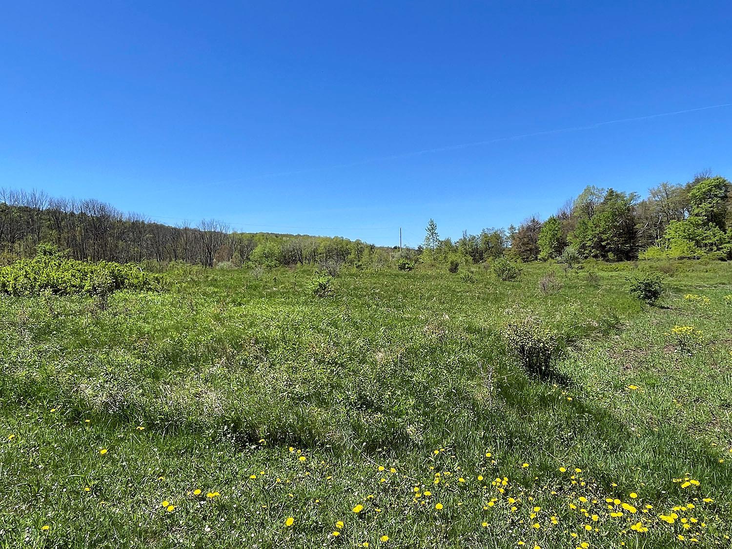 Single Family Eminence  Delaware County, NY 13783, MLS-862727-12