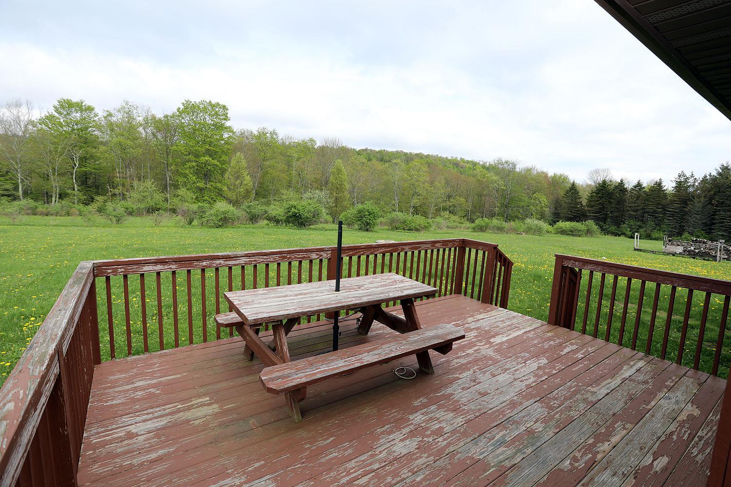 Single Family Eminence  Delaware County, NY 13783, MLS-862727-31